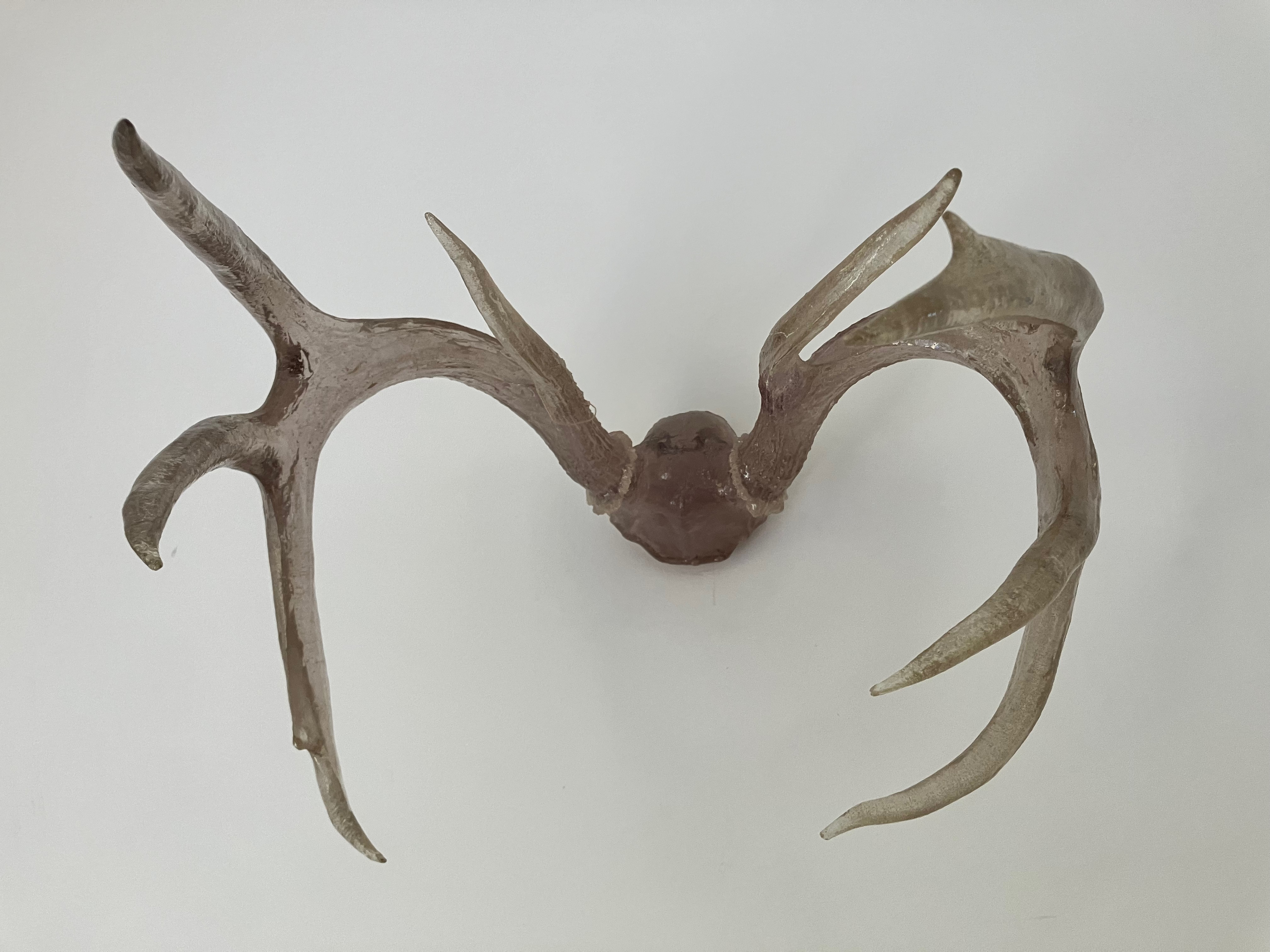 Regular Resin antlers