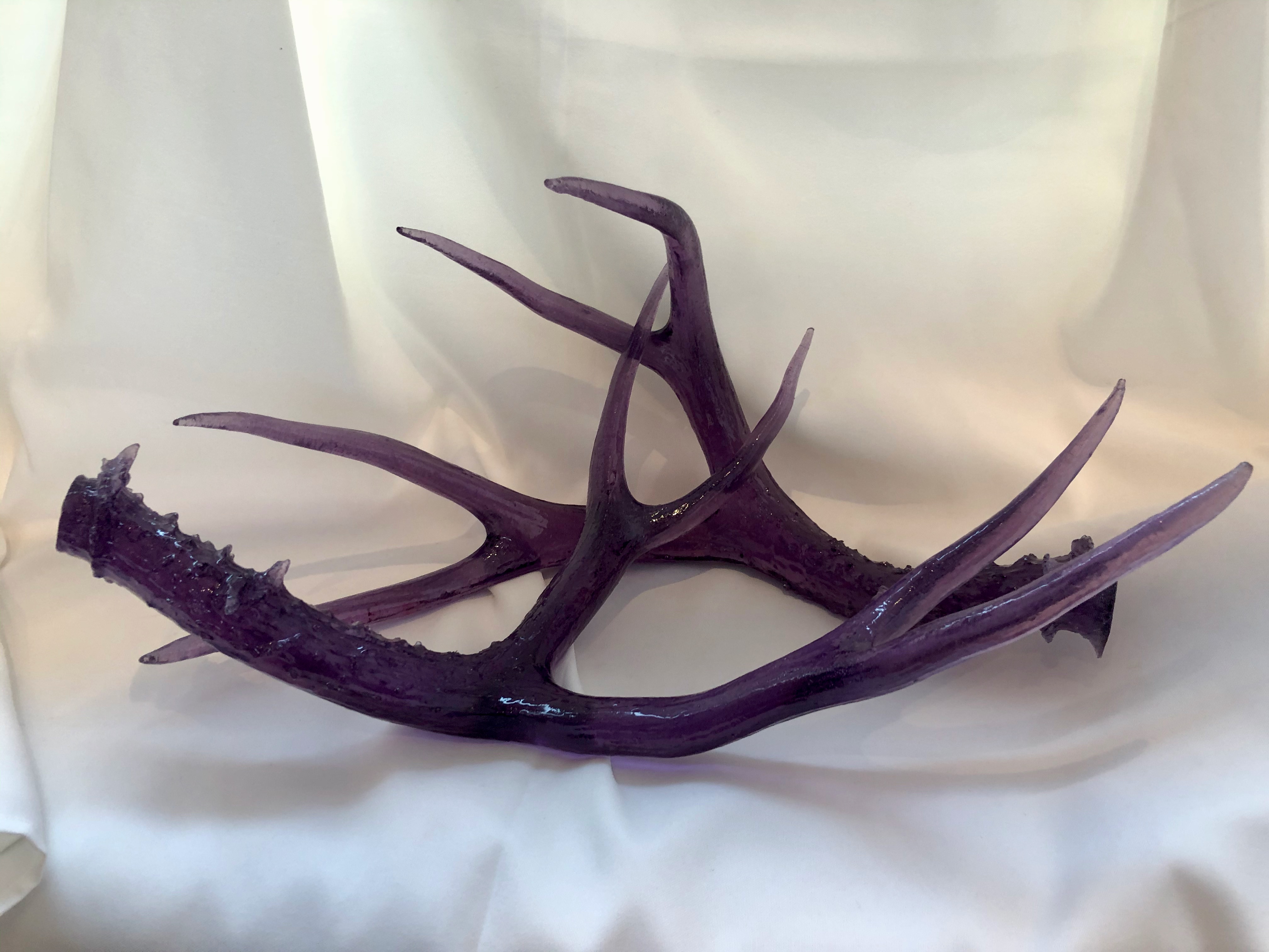 Large Transparent Shed Resin Antlers (Pair)
