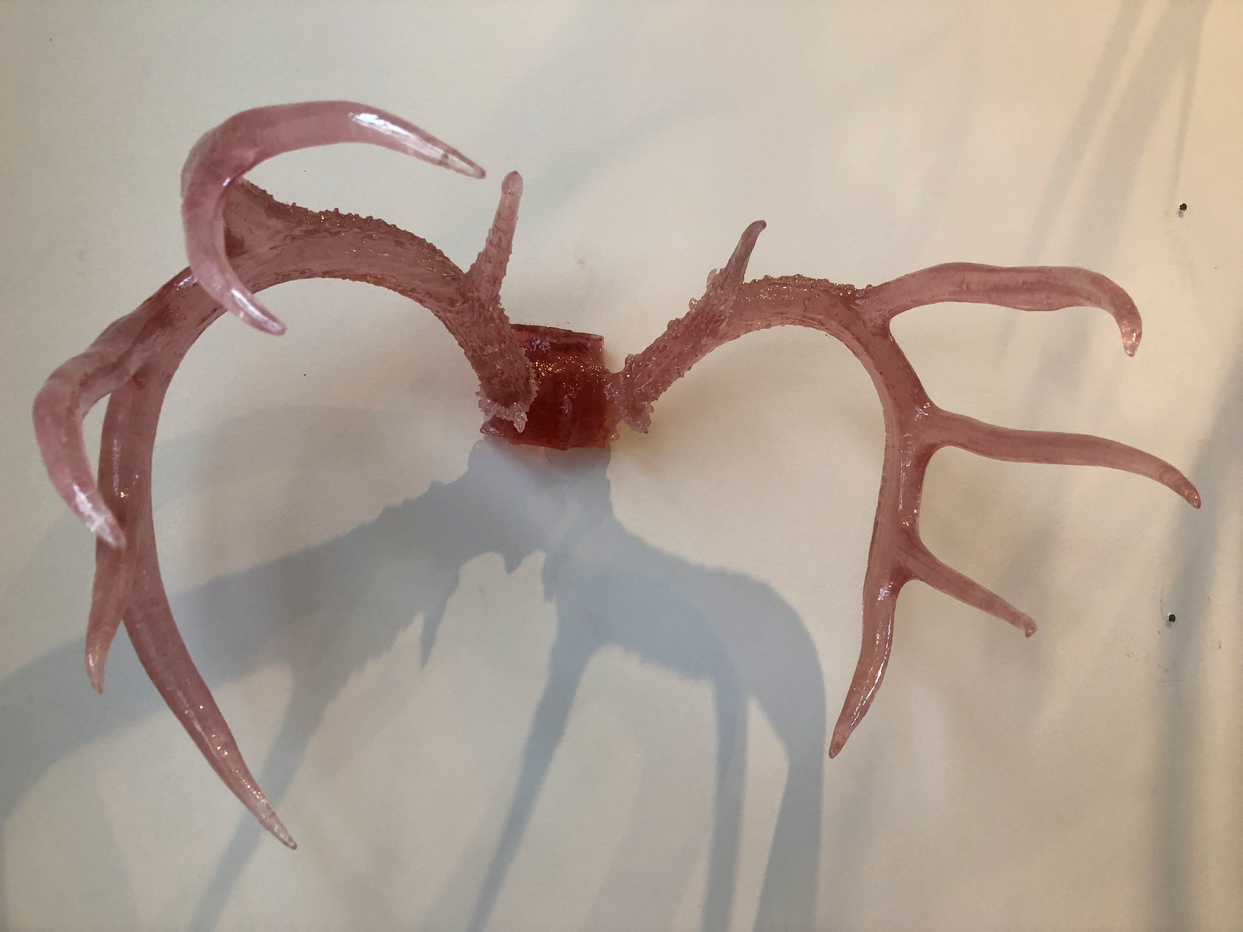 Large Resin Antlers
