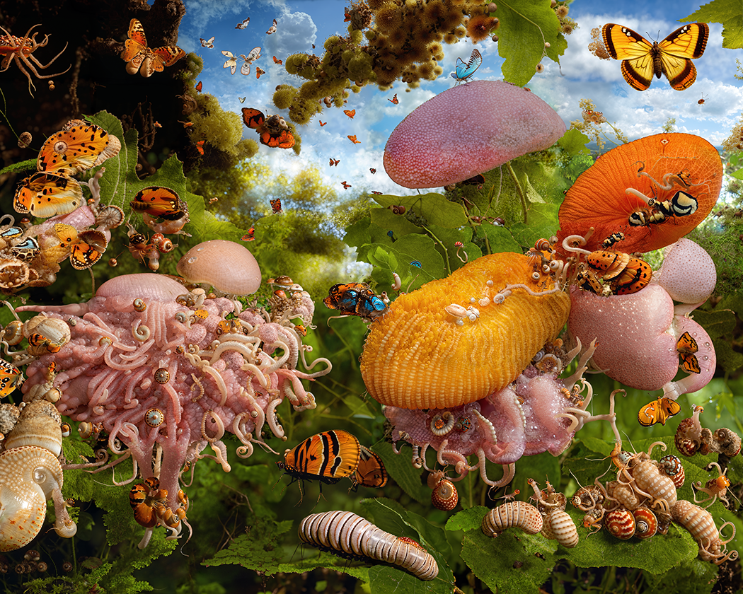 Entangled Ecosystem