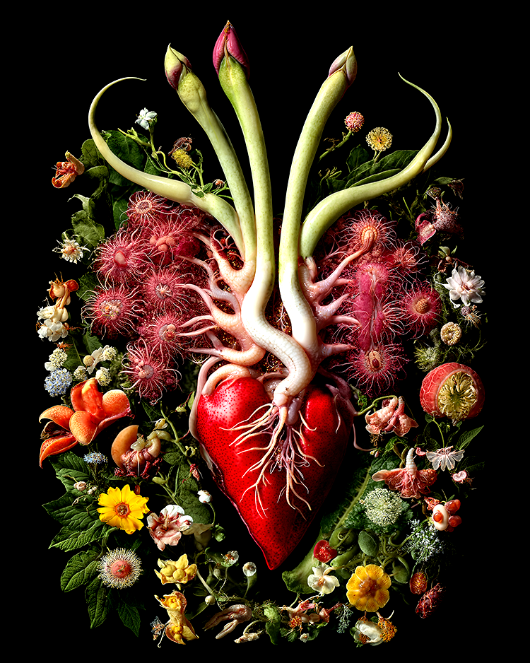 The Blood Within The Bloom