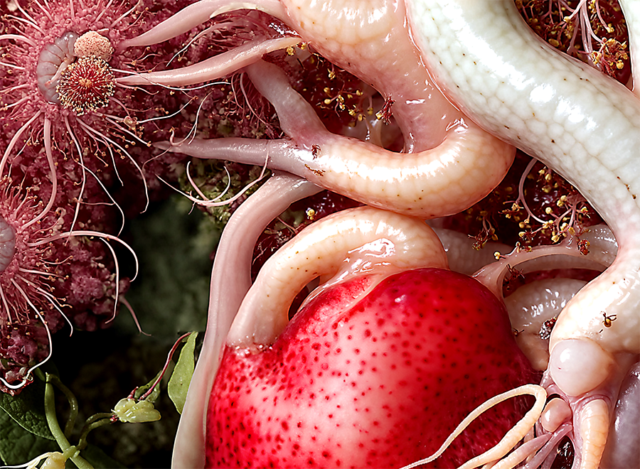 The Blood Within The Bloom