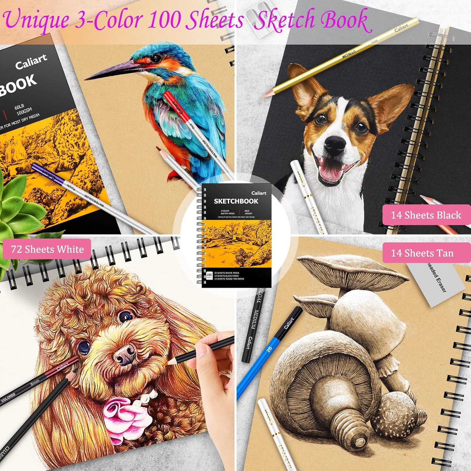 CALIART 176PCS ART SUPPLIES SKETCHING KIT WITH 100 SHEETS 3-COLOR SKETCH BOOK, GRAPHITE COLORED CHARCOAL WATERCOLOR & METALLIC PENCILS, SCHOOL SUPPLIES GIFTS FOR ARTISTS ADULTS TEENS GIRLS BOYS KIDS