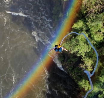 Bungee Jumping Over The Victoria Falls