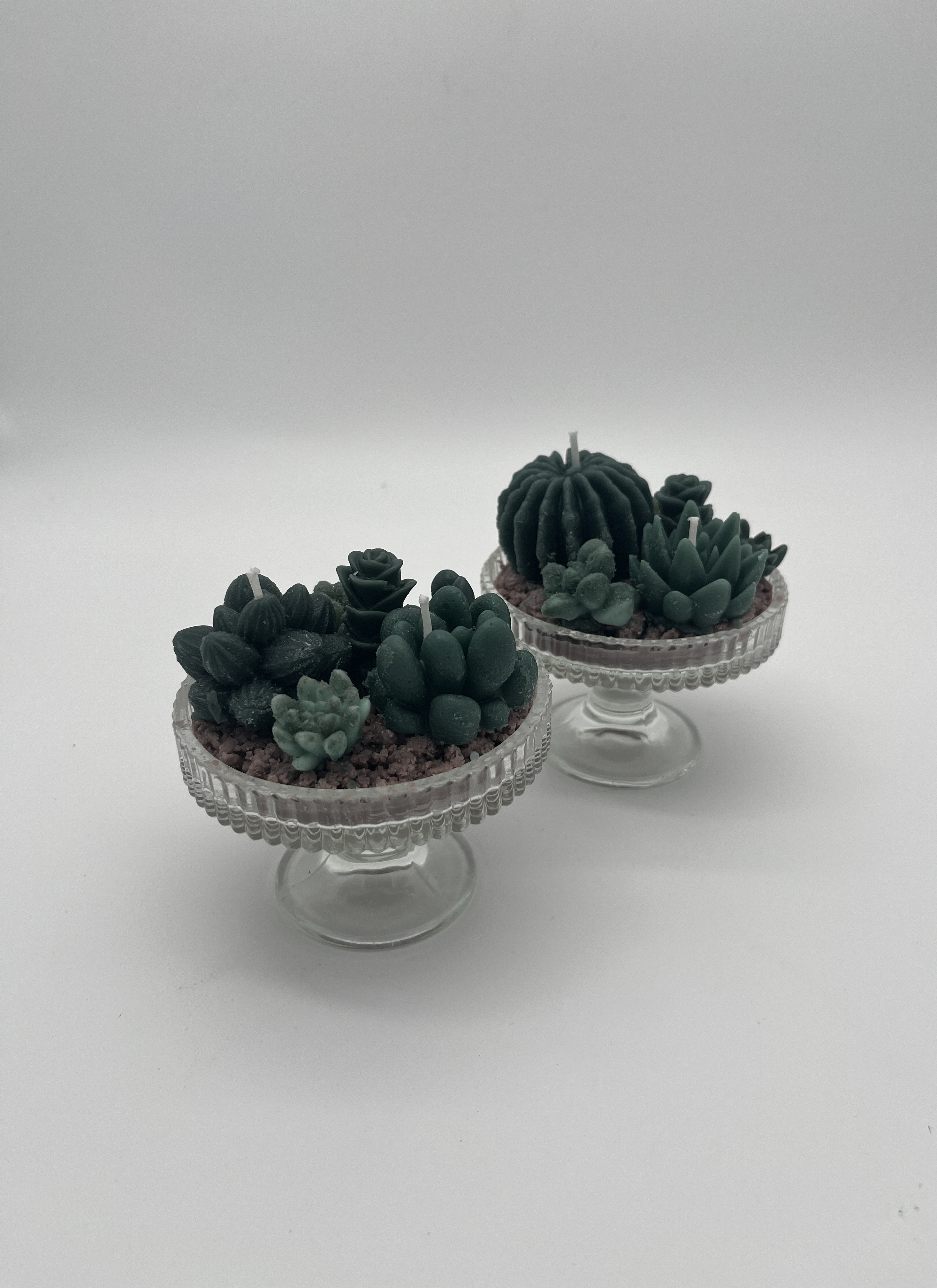 𝑆𝑢𝑐𝑐𝑢𝑙𝑒𝑛𝑡 𝐺𝑎𝑟𝑑𝑒𝑛