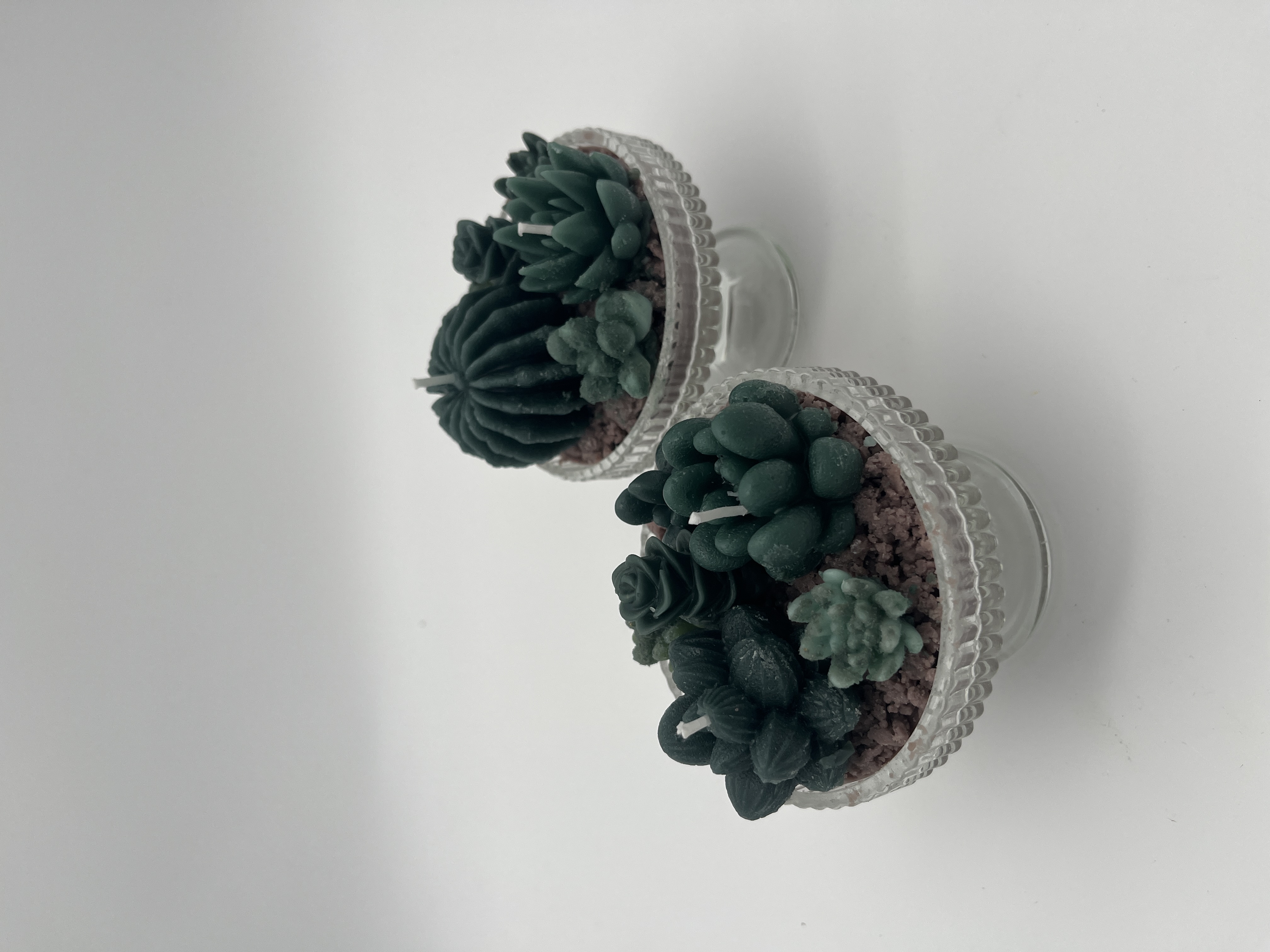 𝑆𝑢𝑐𝑐𝑢𝑙𝑒𝑛𝑡 𝐺𝑎𝑟𝑑𝑒𝑛