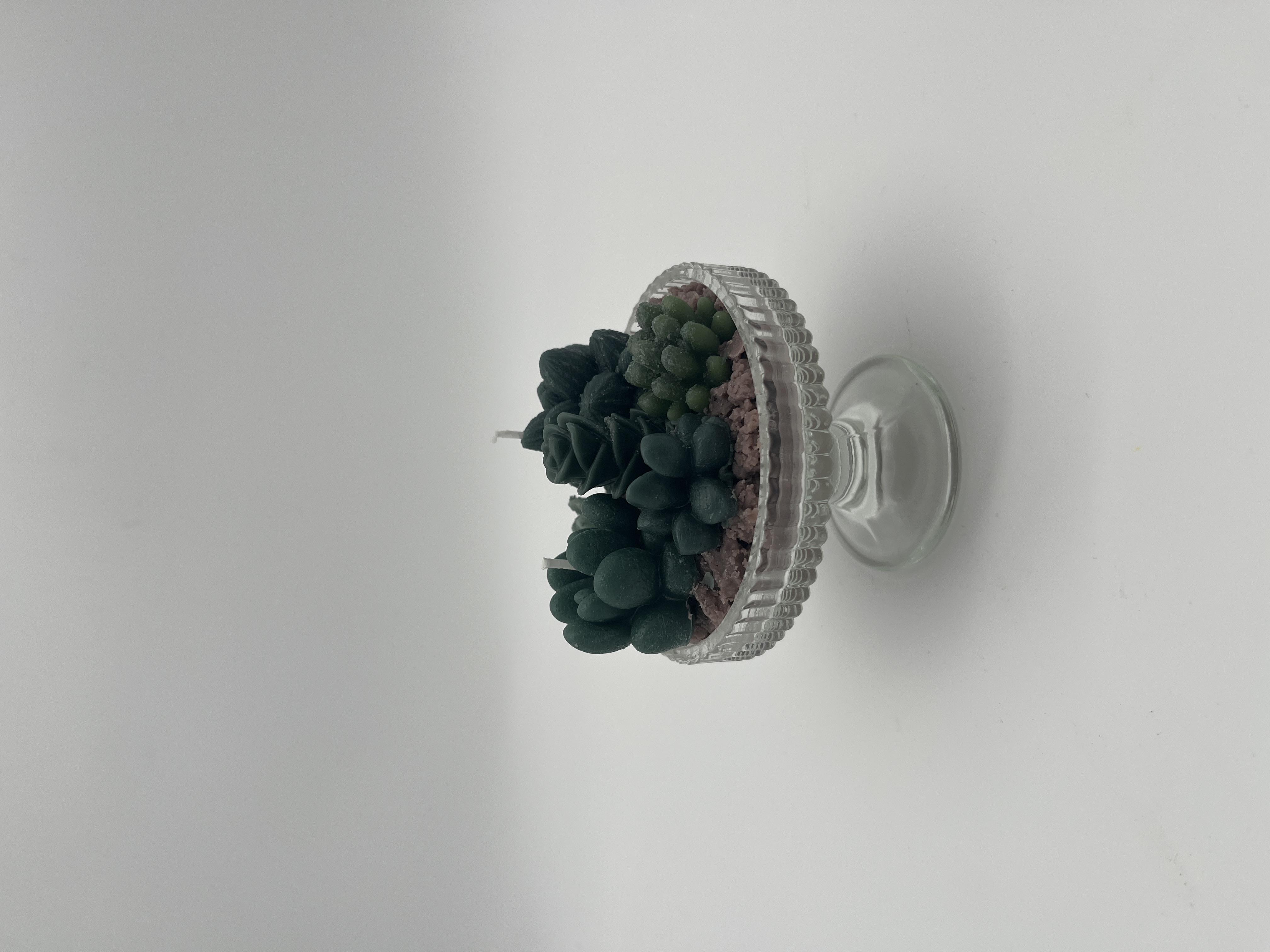 𝑆𝑢𝑐𝑐𝑢𝑙𝑒𝑛𝑡 𝐺𝑎𝑟𝑑𝑒𝑛