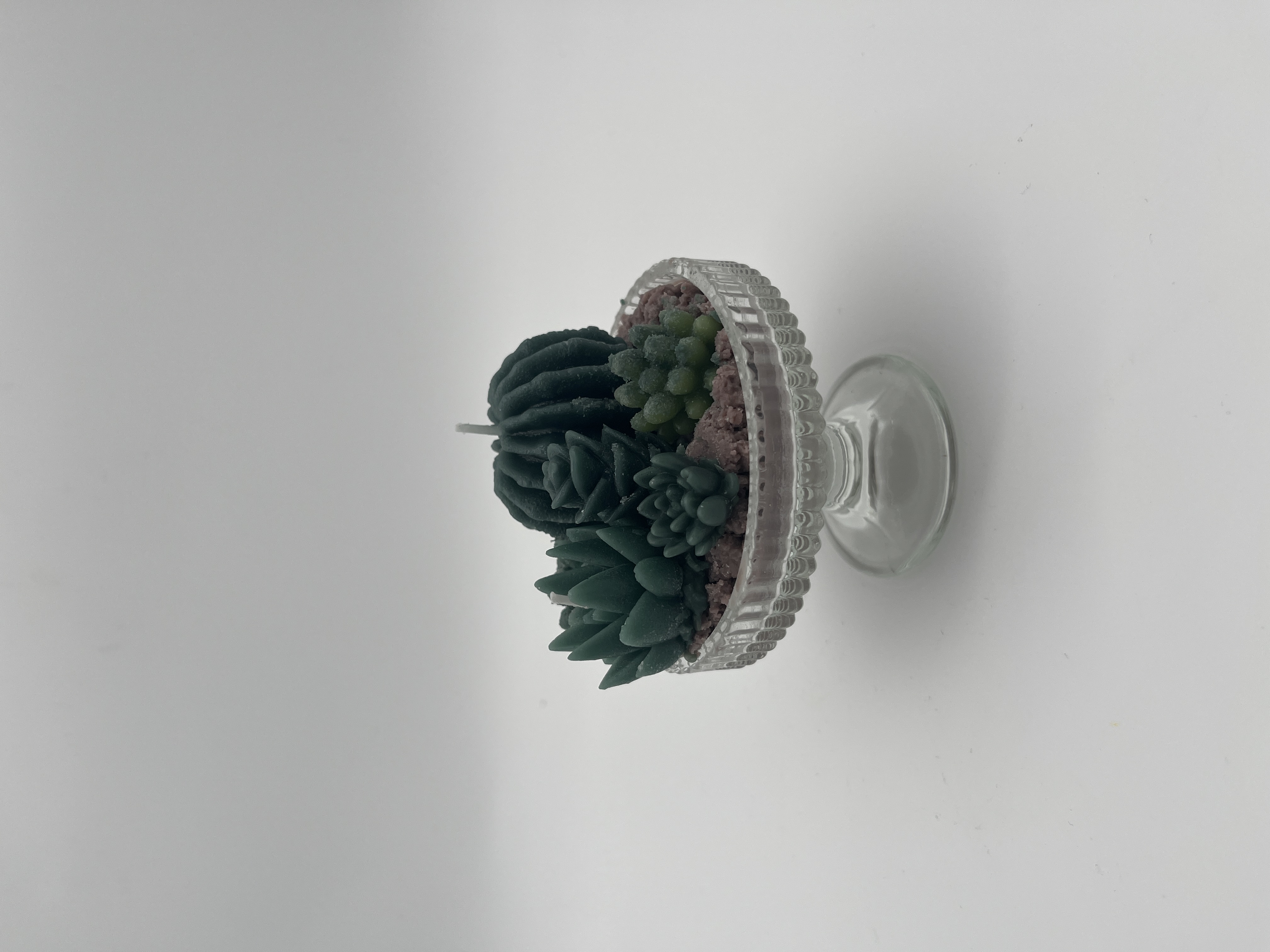 𝑆𝑢𝑐𝑐𝑢𝑙𝑒𝑛𝑡 𝐺𝑎𝑟𝑑𝑒𝑛