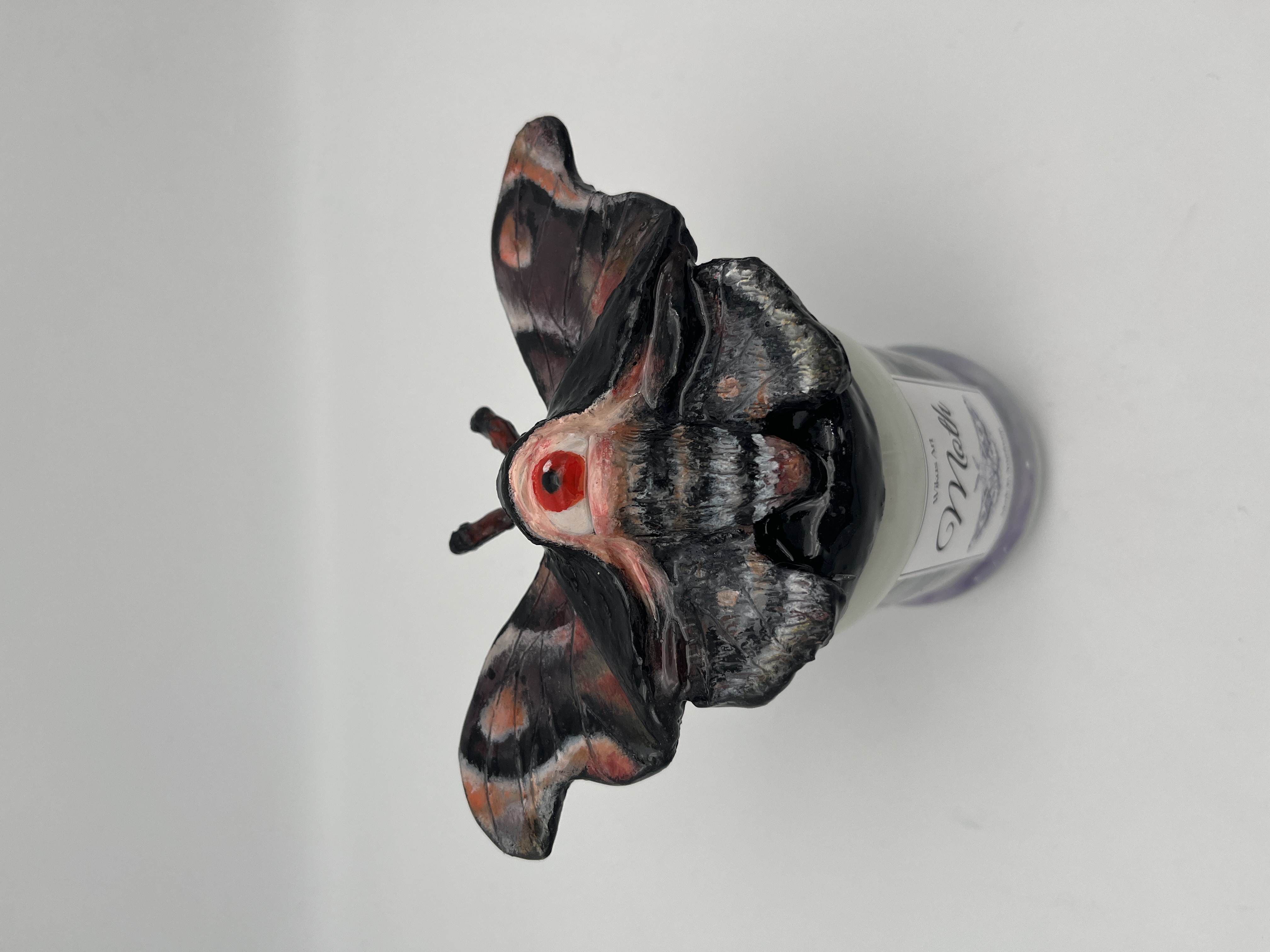 Moth