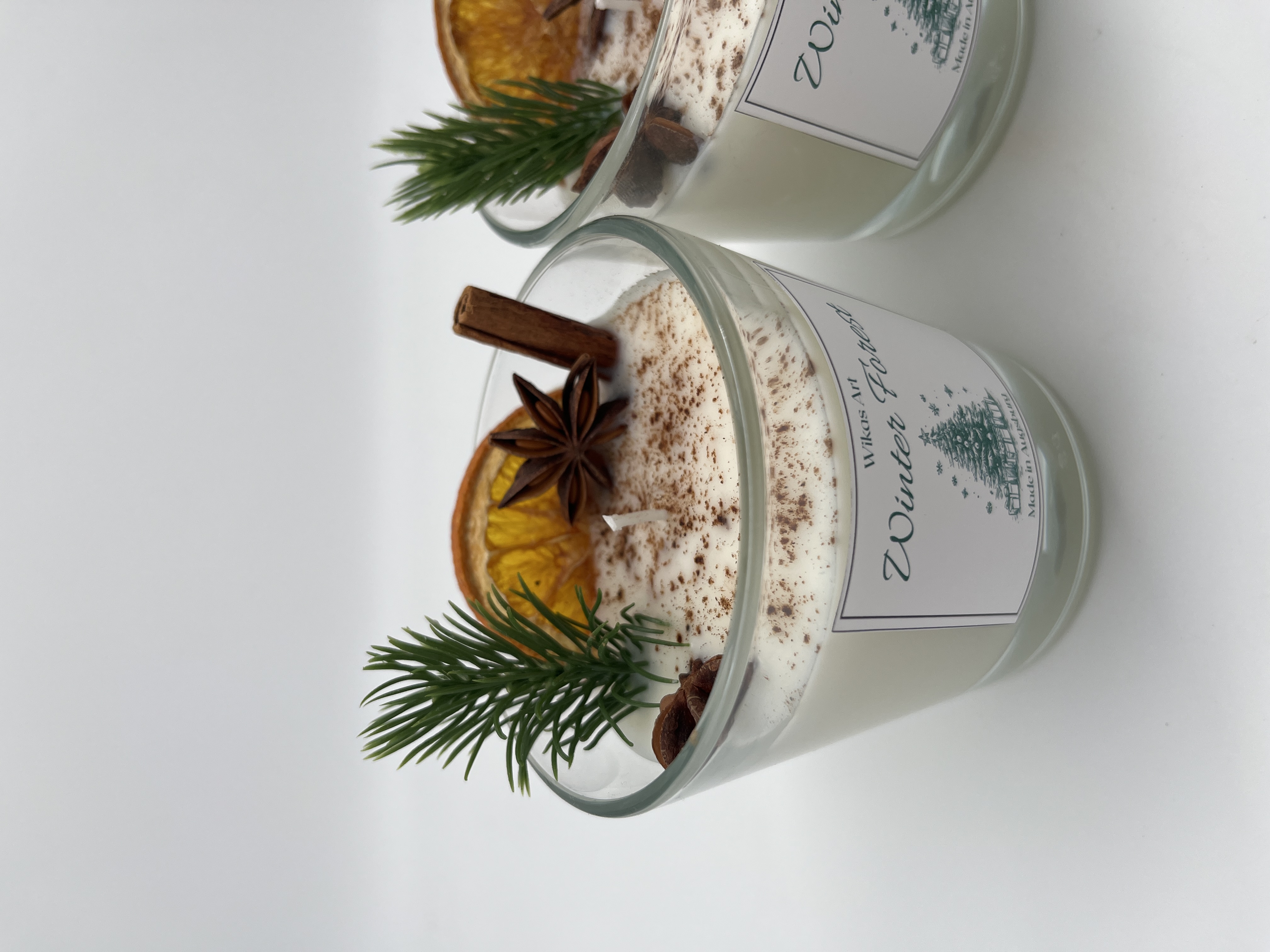 𝑊𝑖𝑛𝑡𝑒𝑟 𝐹𝑜𝑟𝑒𝑠𝑡