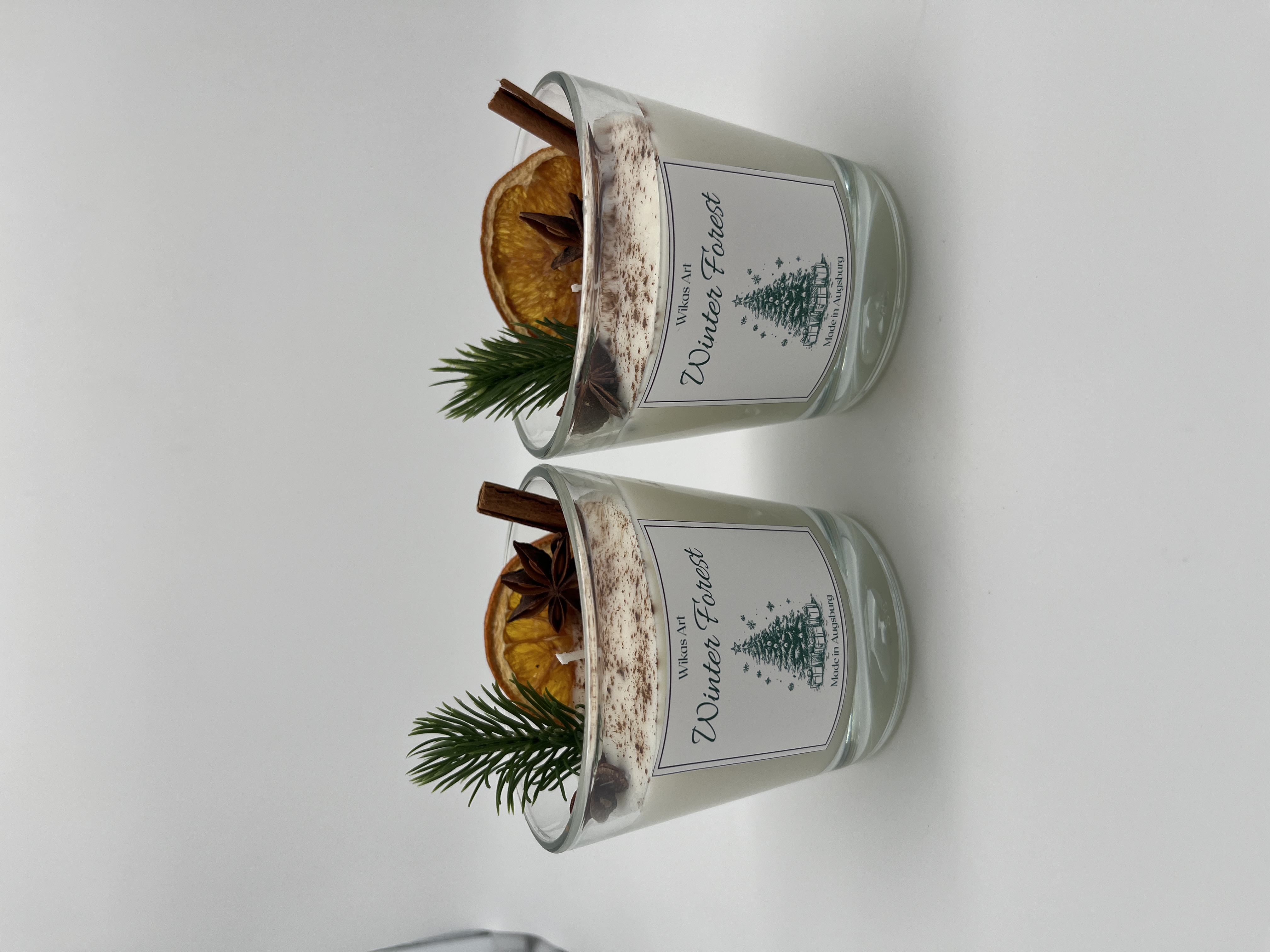 𝑊𝑖𝑛𝑡𝑒𝑟 𝐹𝑜𝑟𝑒𝑠𝑡