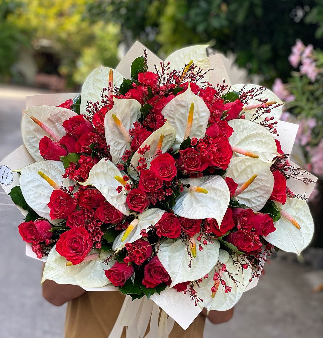 Red and White Velvet