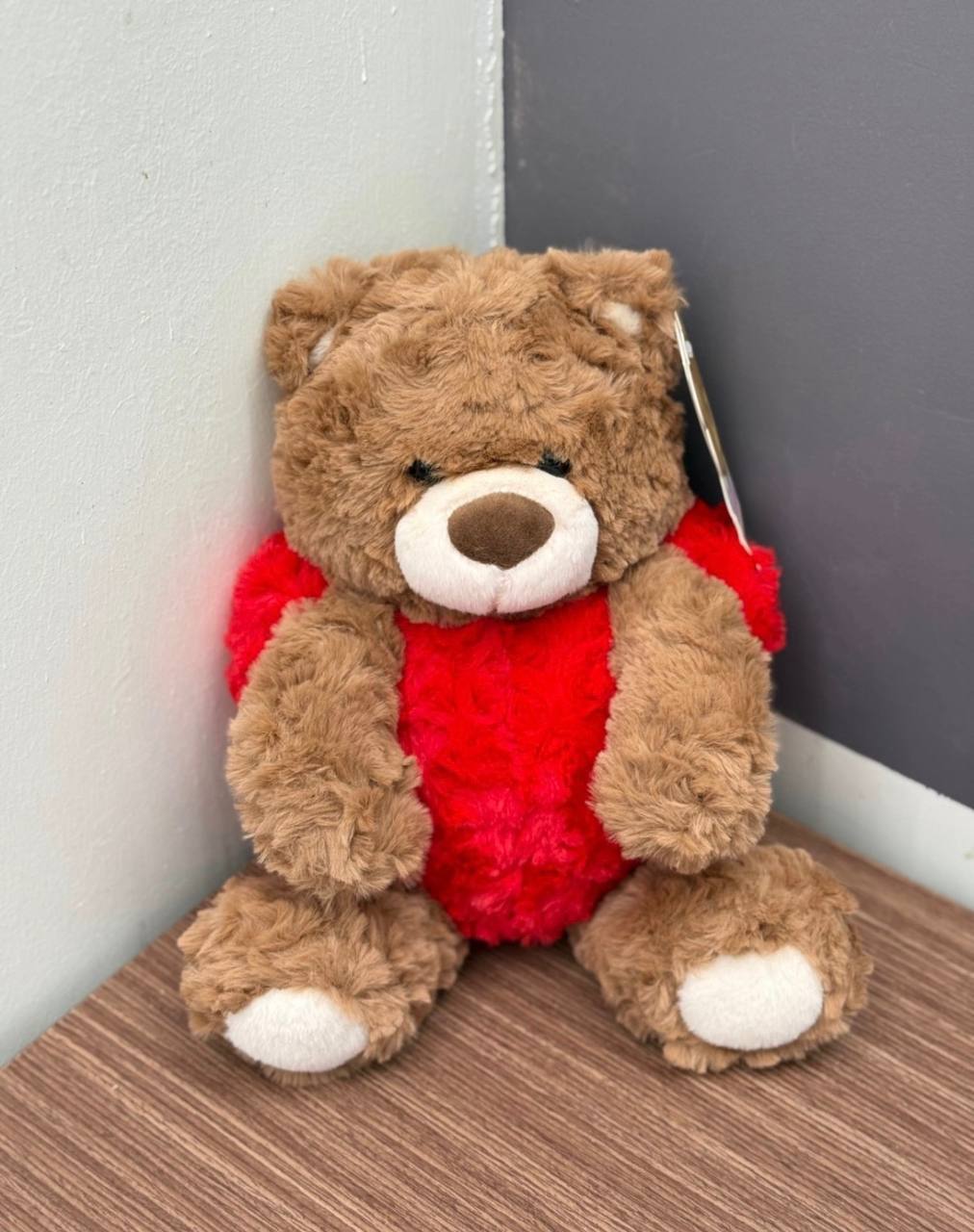 Plush Teddy Bear with Red Heart