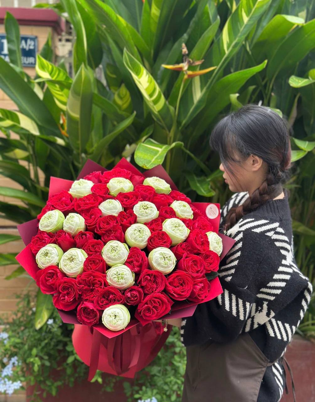 Royal Lotus Bloom Symphony (107)