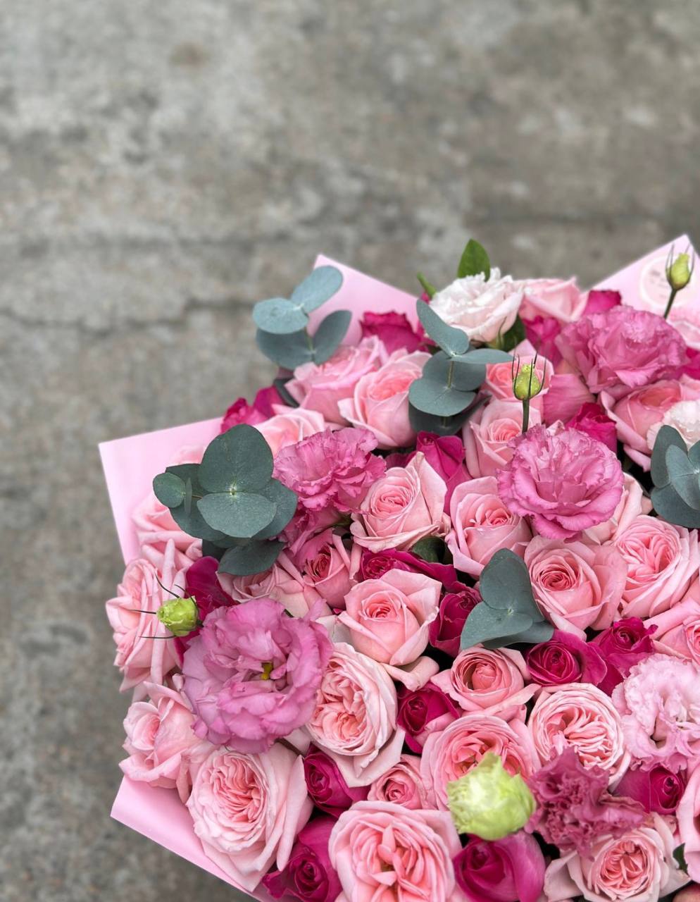 Raspberry Garden (071)