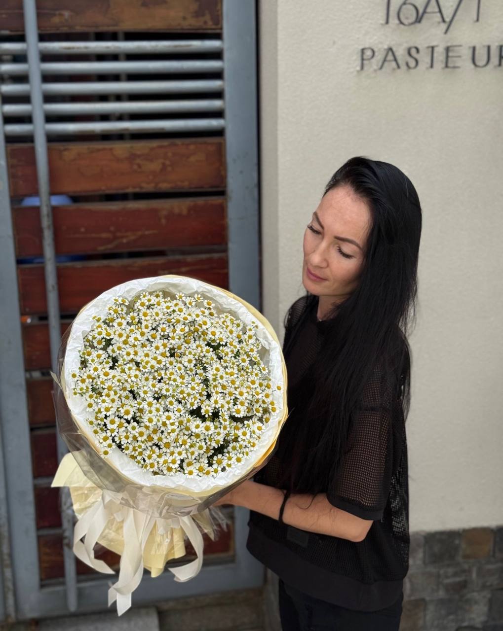 Gentle Daisy Cloud (104)