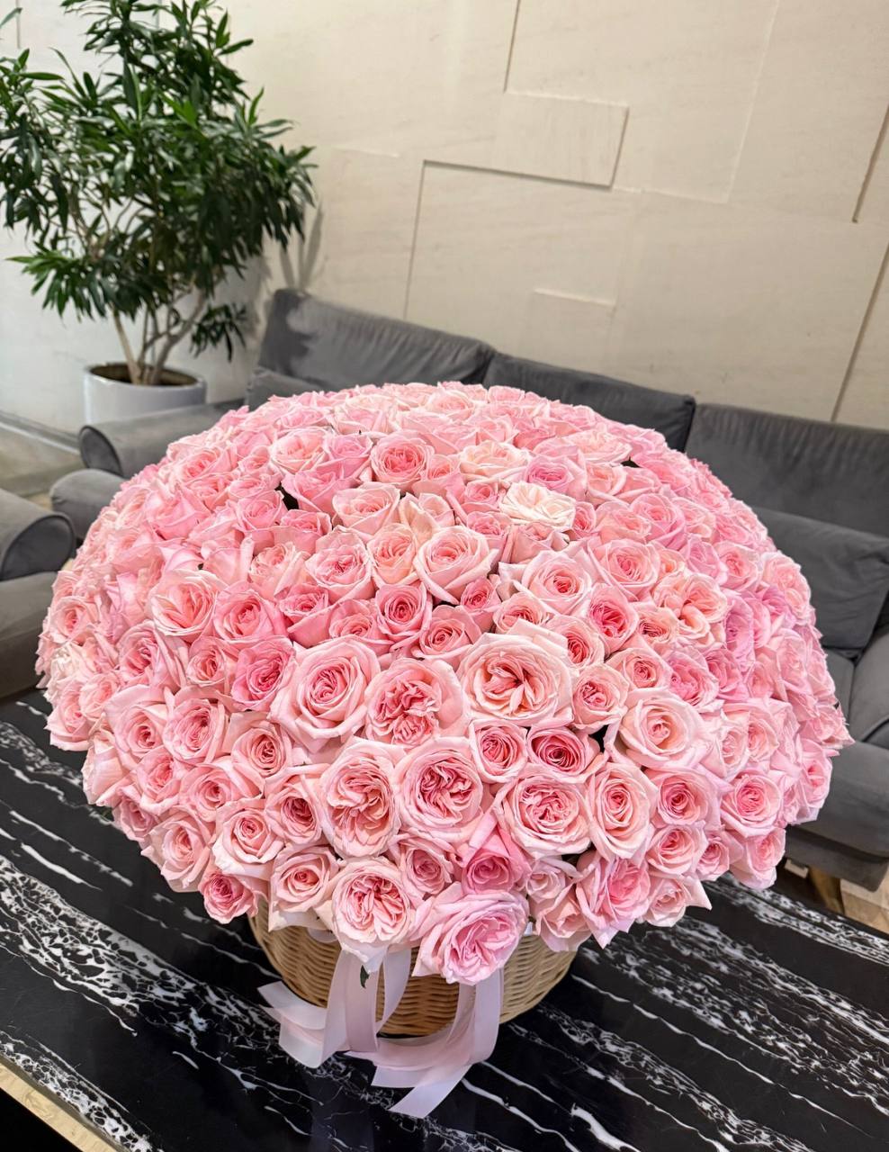 301 Roses “Pink Ohara” (006)