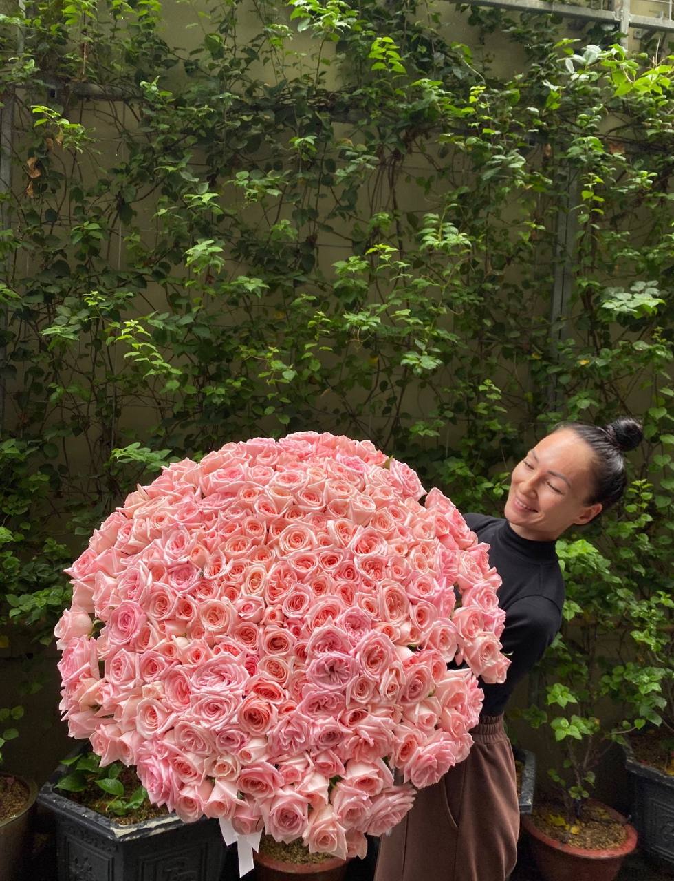 201 Roses “Ohara” (027)