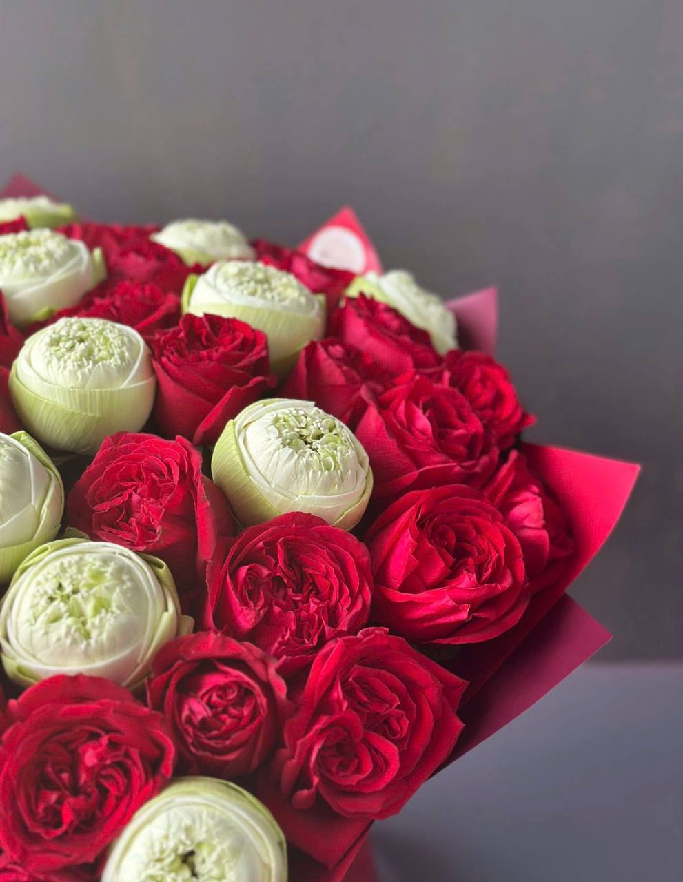 Royal Lotus Bloom Symphony (107)