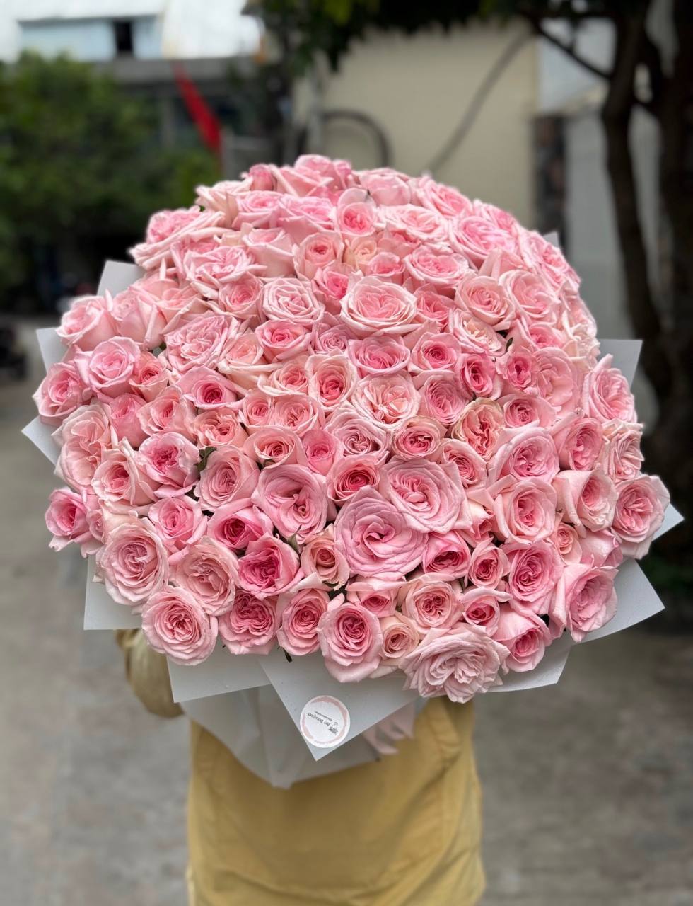 101 Roses “Pink Ohara” (028)