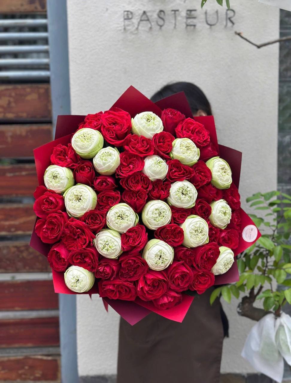 Royal Lotus Bloom Symphony (107)