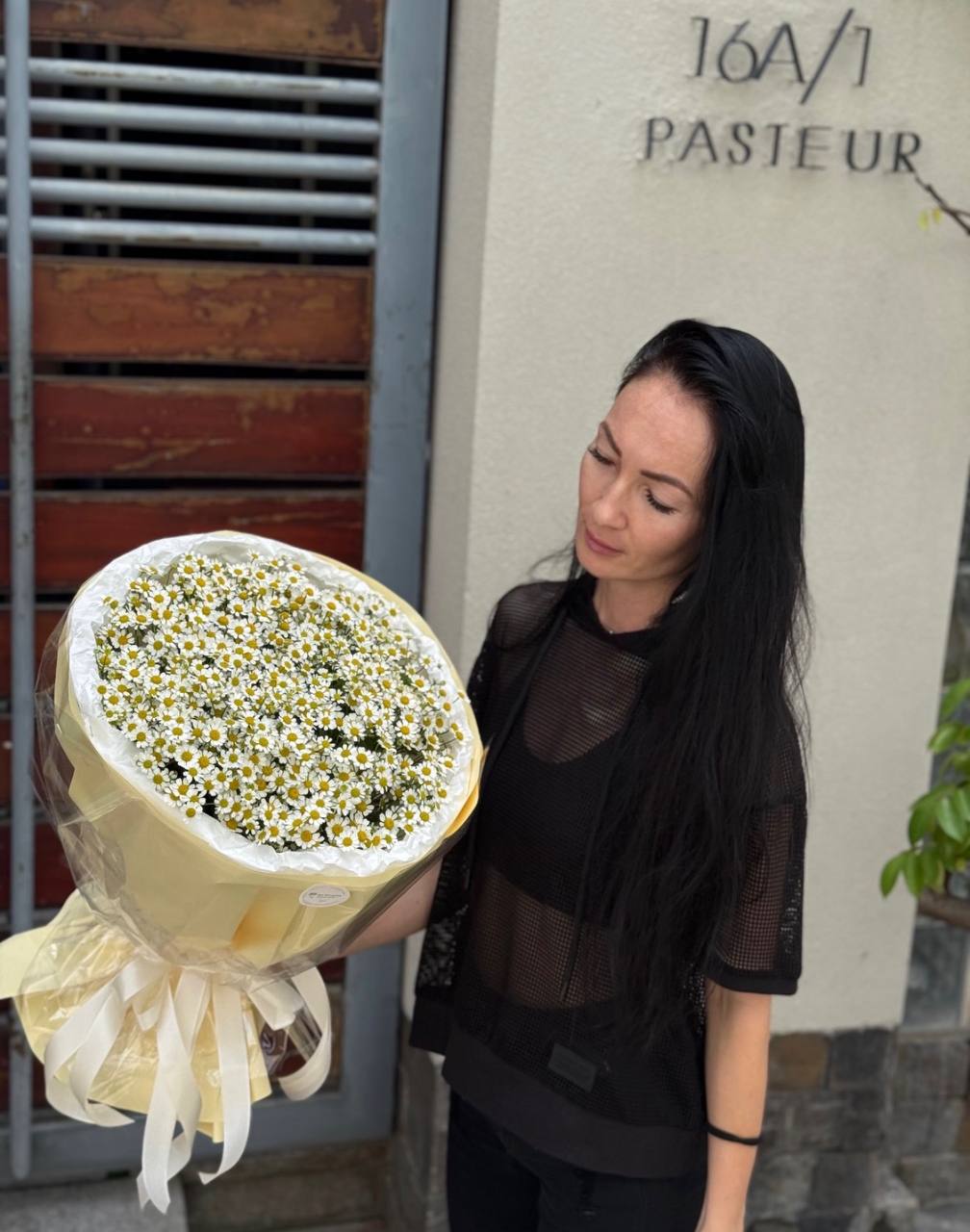 Gentle Daisy Cloud (104)