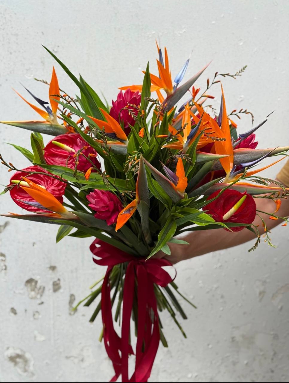 Birds of Paradise (053)