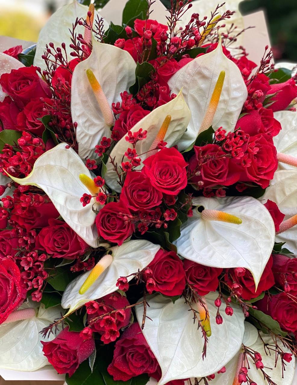 Red and White Velvet (065)