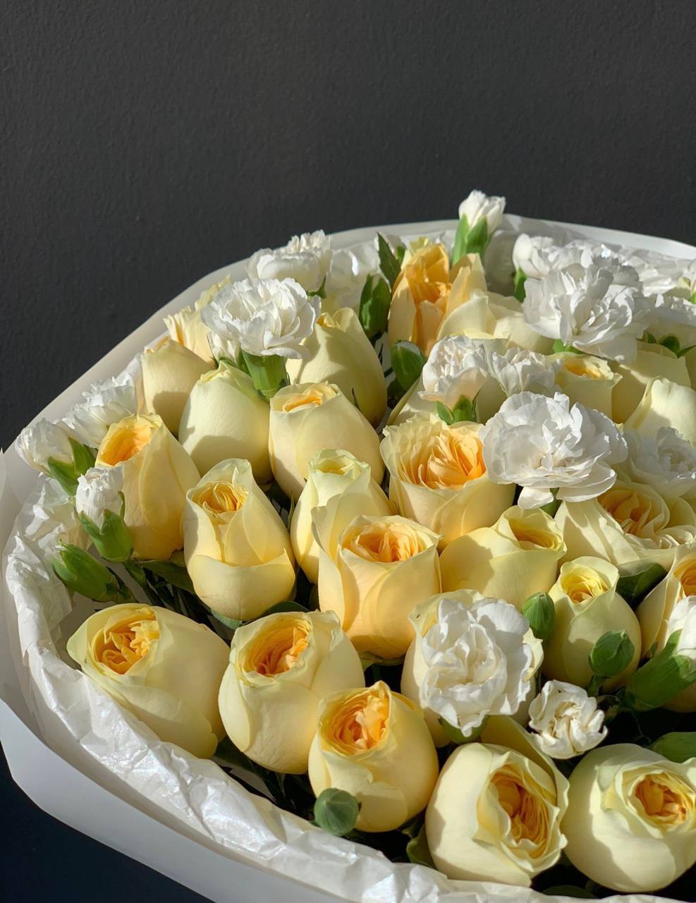 Little Princess (066)