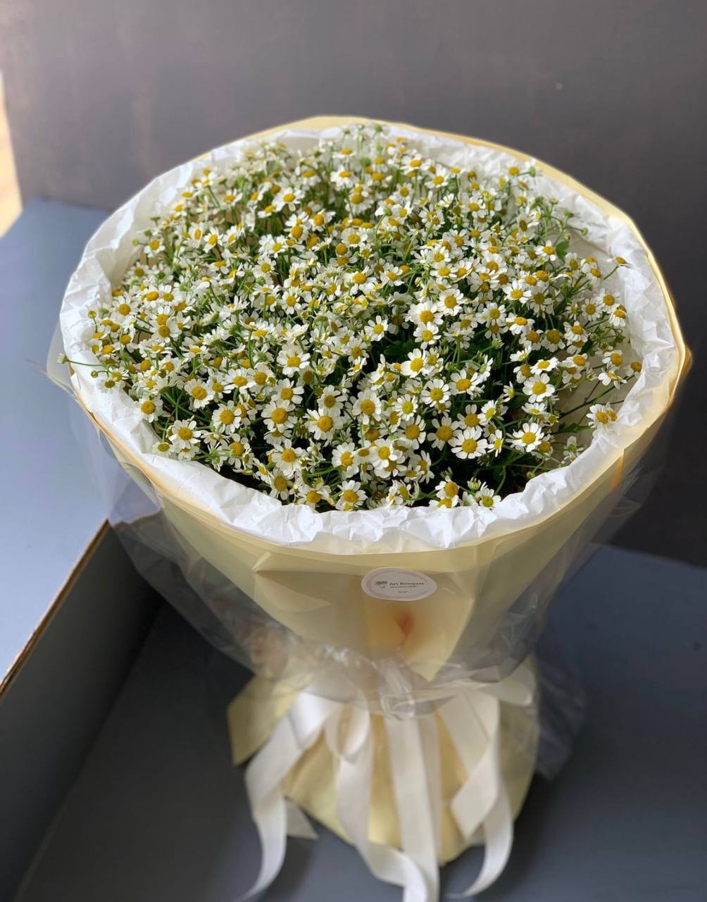 Gentle Daisy Cloud (104)