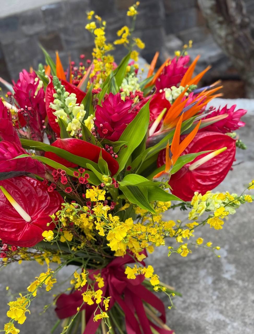 Birds of Paradise XL (103)