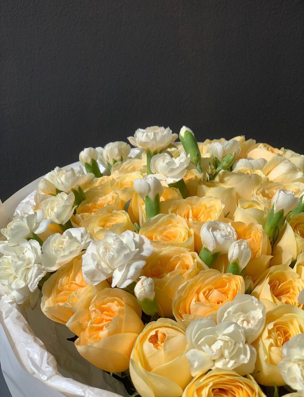 Little Princess (066)