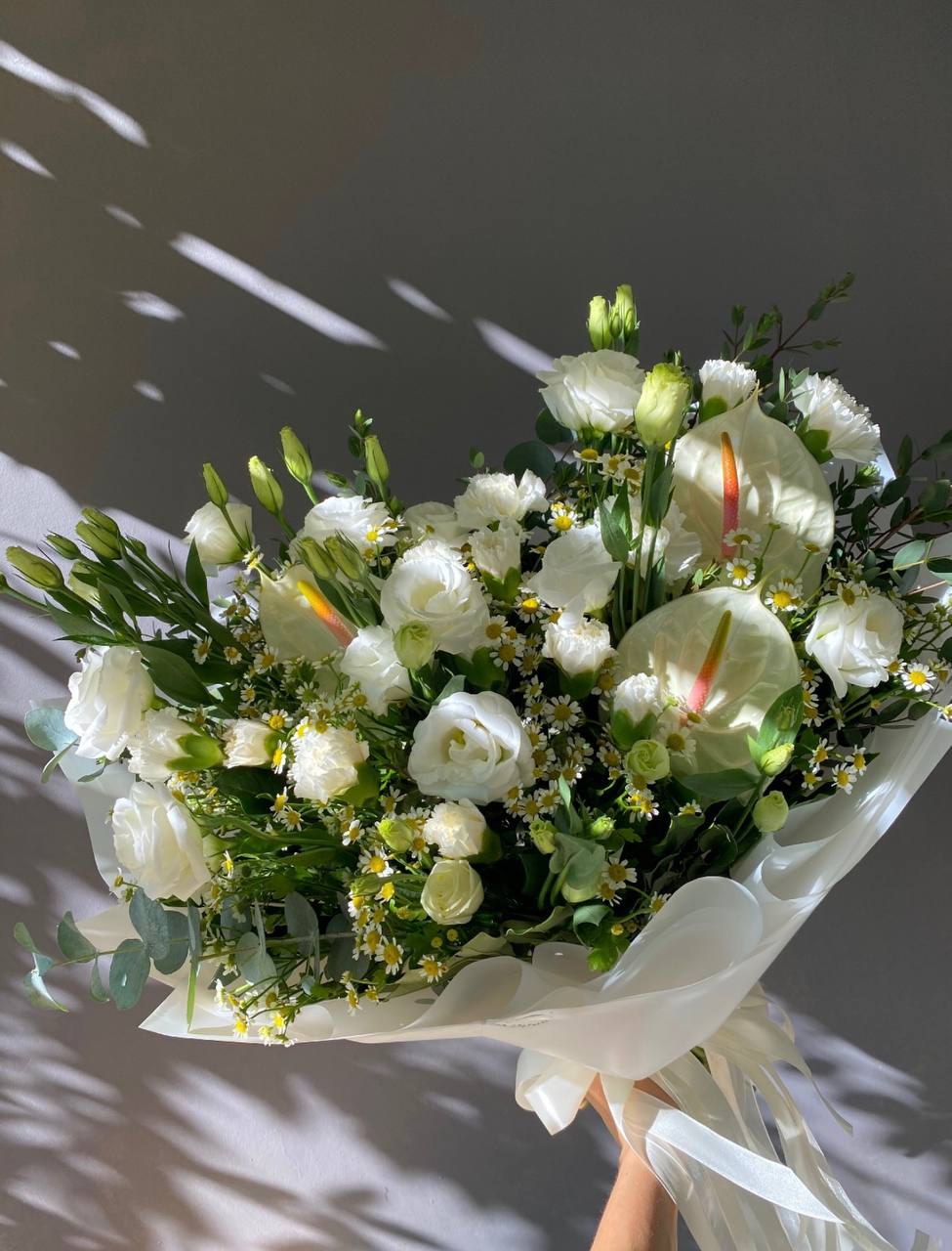 Lime Freshness (083)