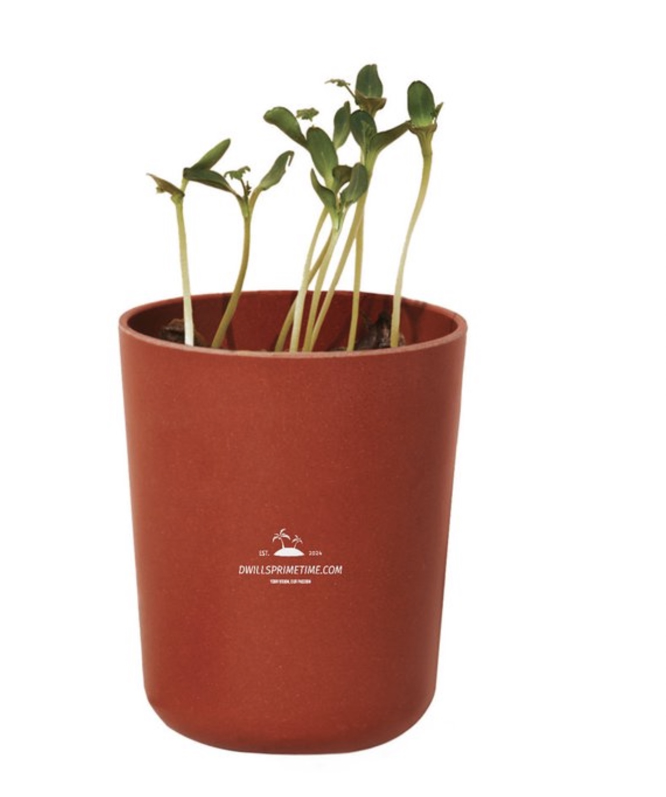 Terracotta Plant Pot