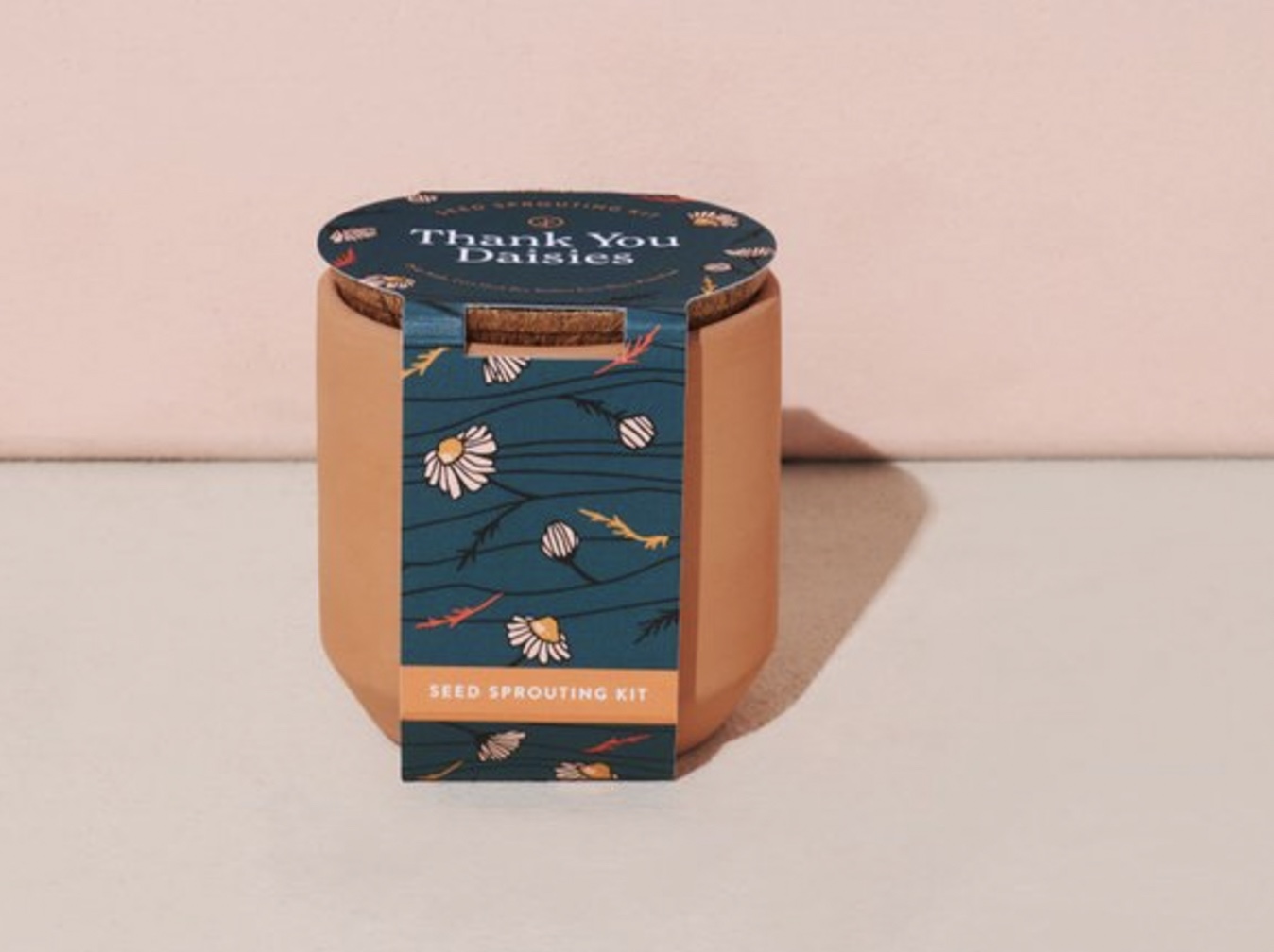 Terra Cotta Planter