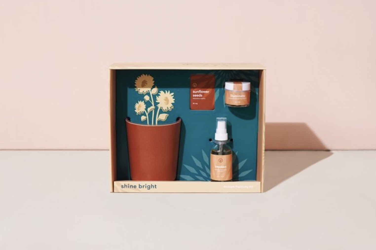 Terracotta Plant Pot