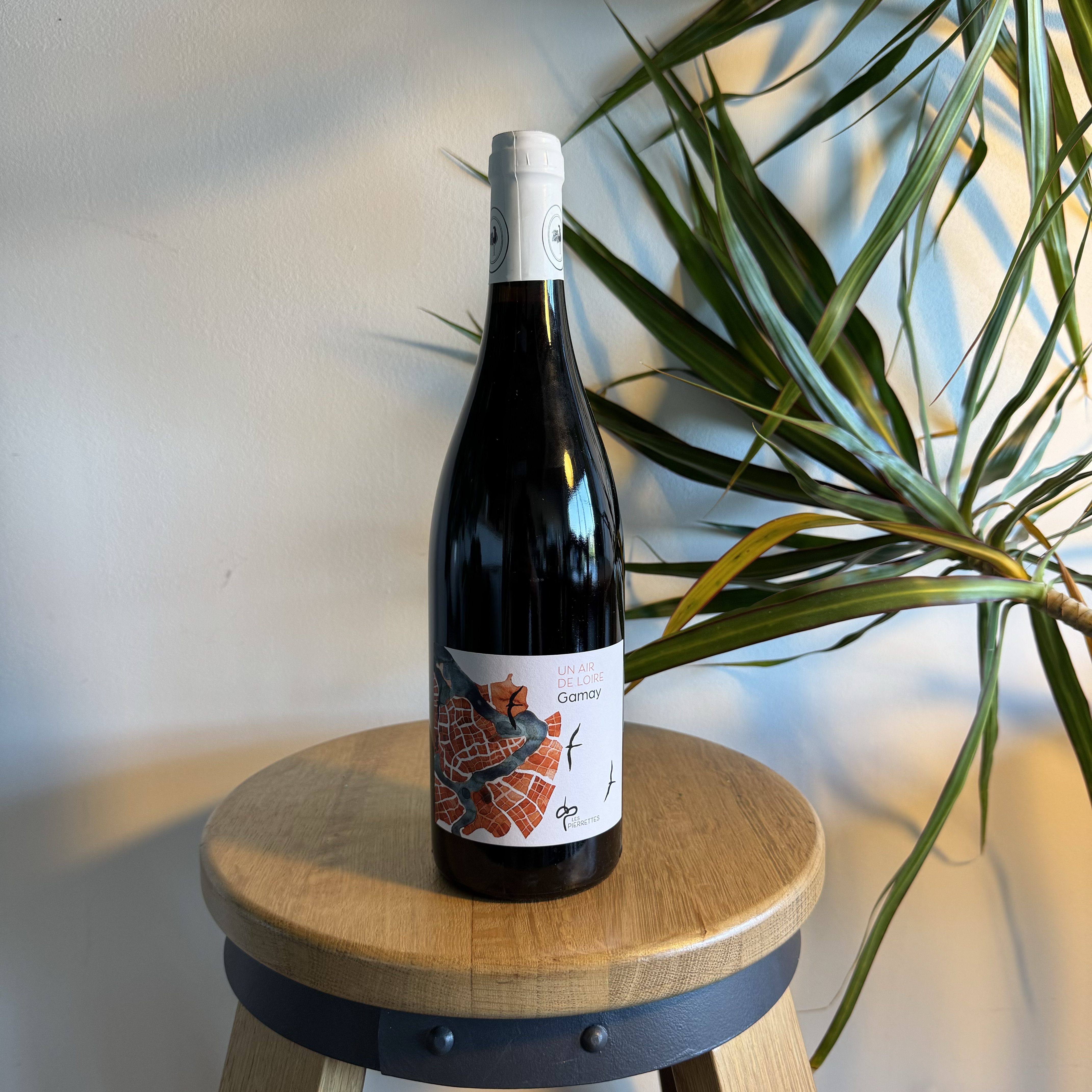 Un Air de Loire Gamay 2022 - Domaine des Pierrettes