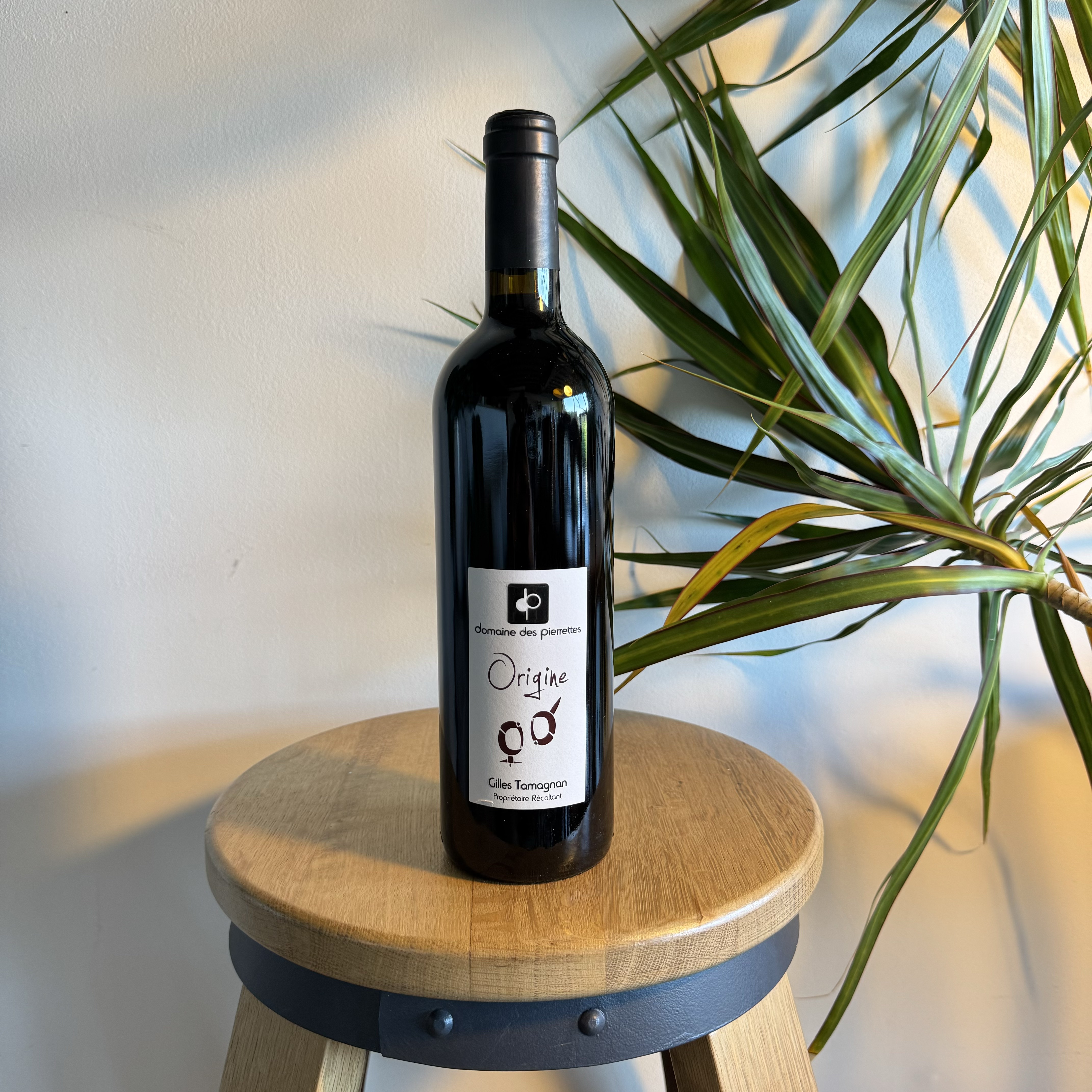 Origine 2019 - Domaine des Pierrettes