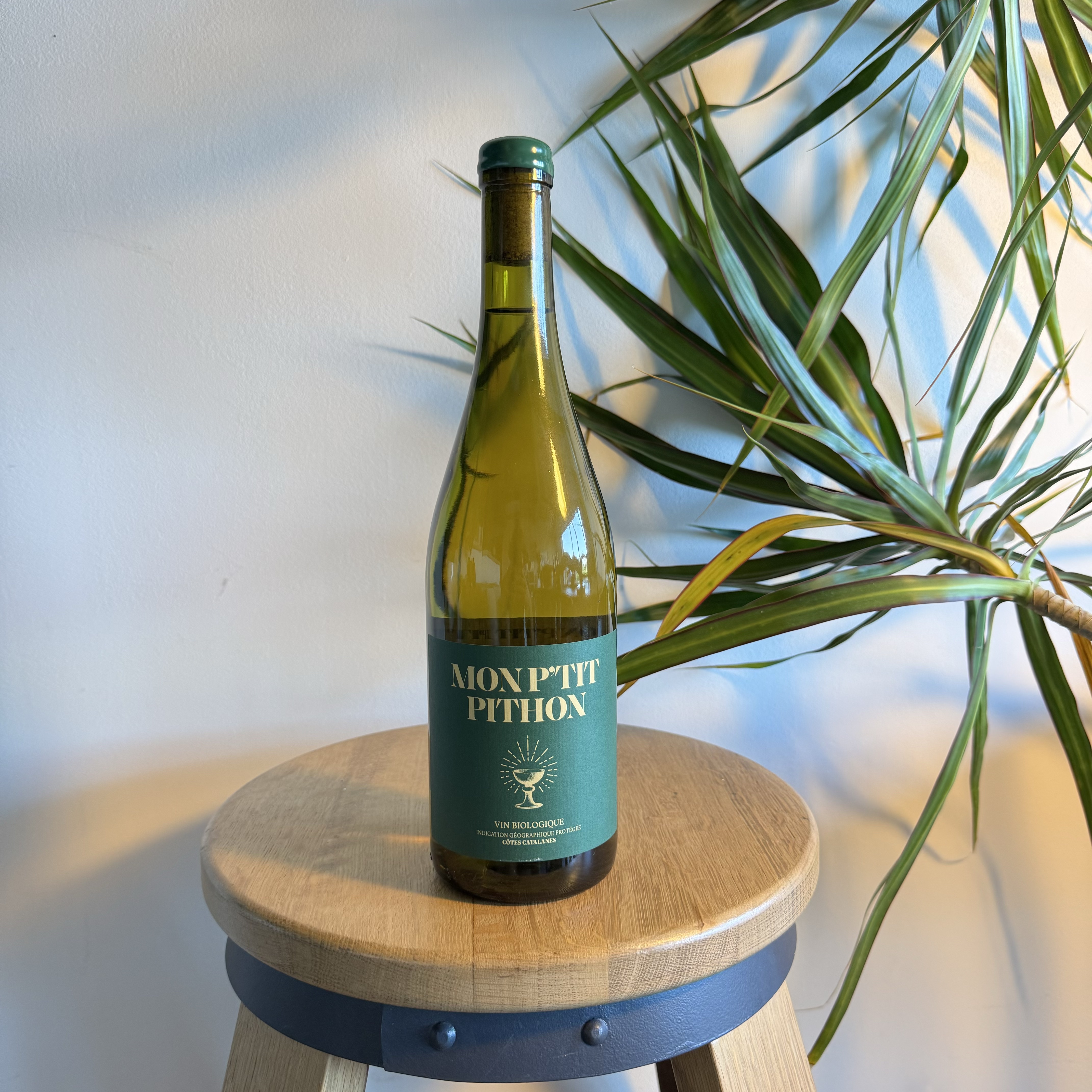 Mon P'tit Pithon Blanc 2023 - Olivier Pithon