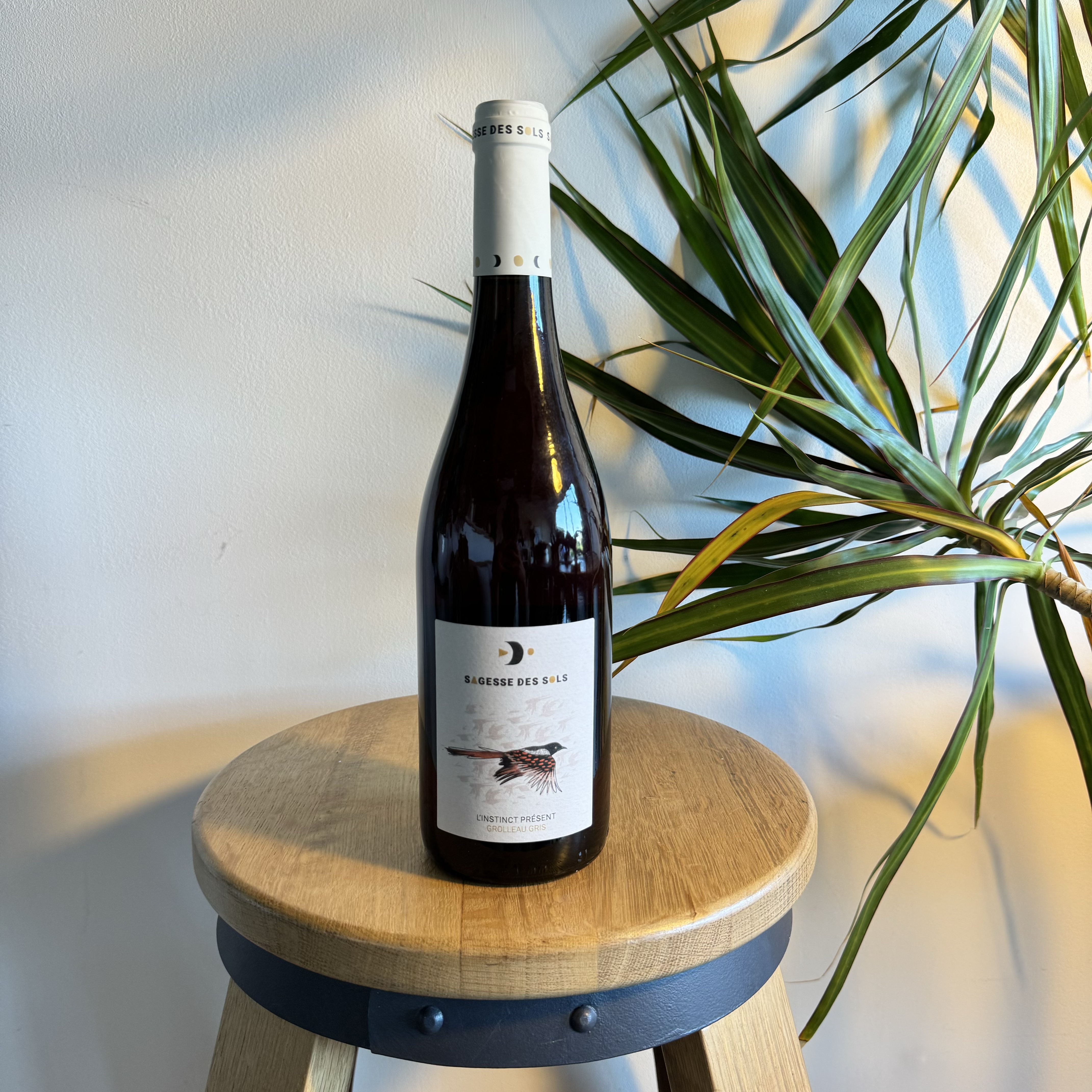 L'instinct Présent 2022 - Sagesse des Sols