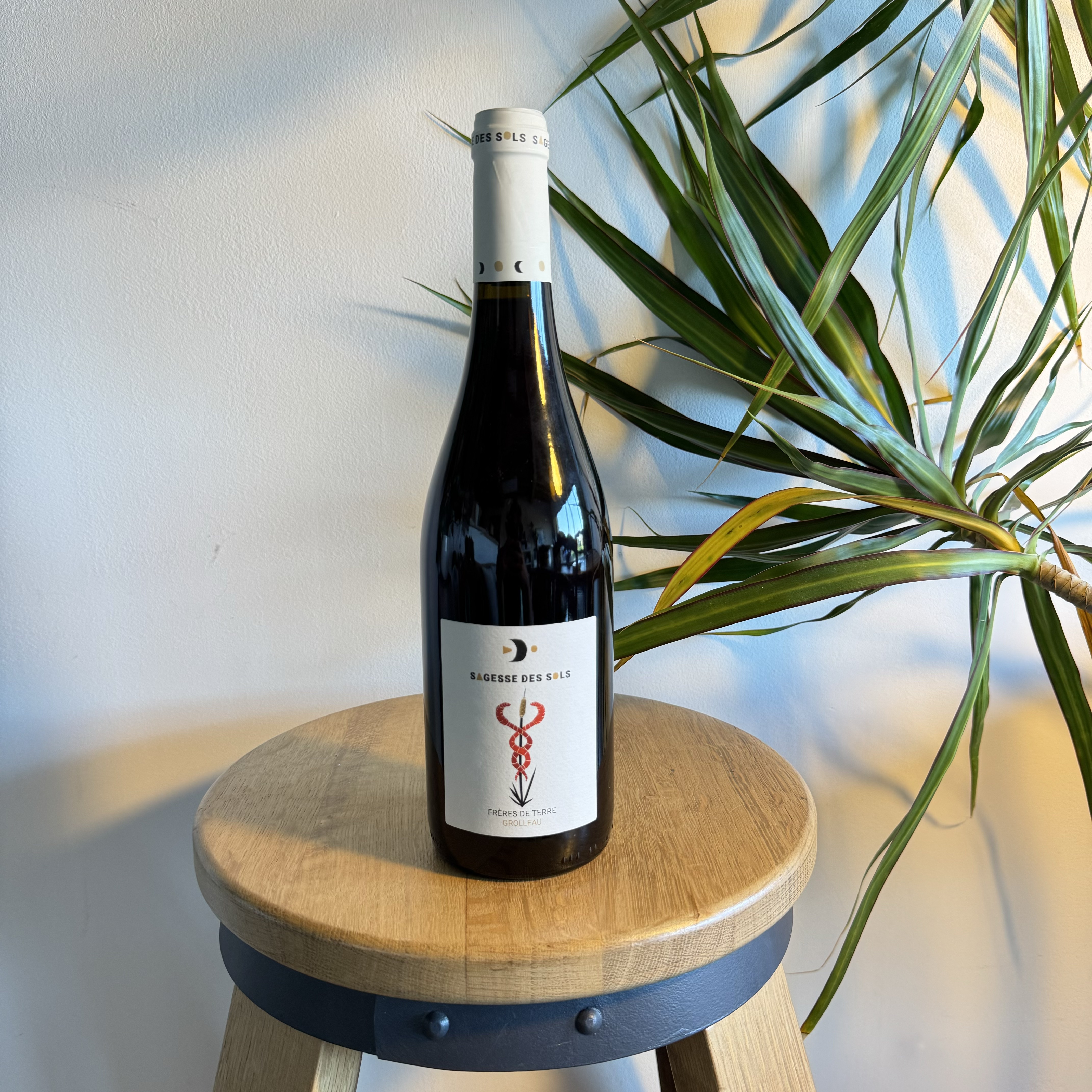 Frères de Terre 2023 - Sagesse des Sols