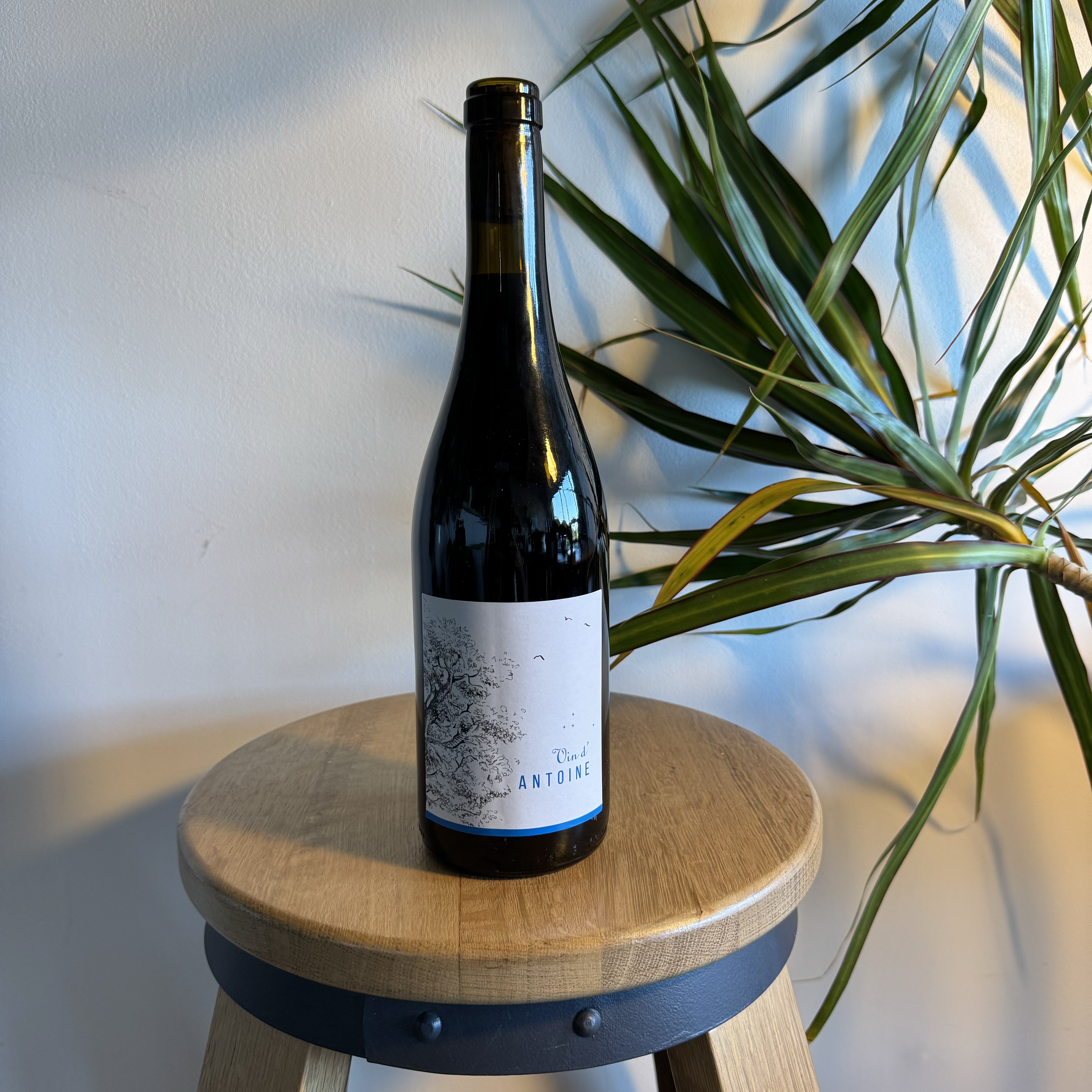 Vin d'Antoine 2022 - Domaine Saint Nicolas