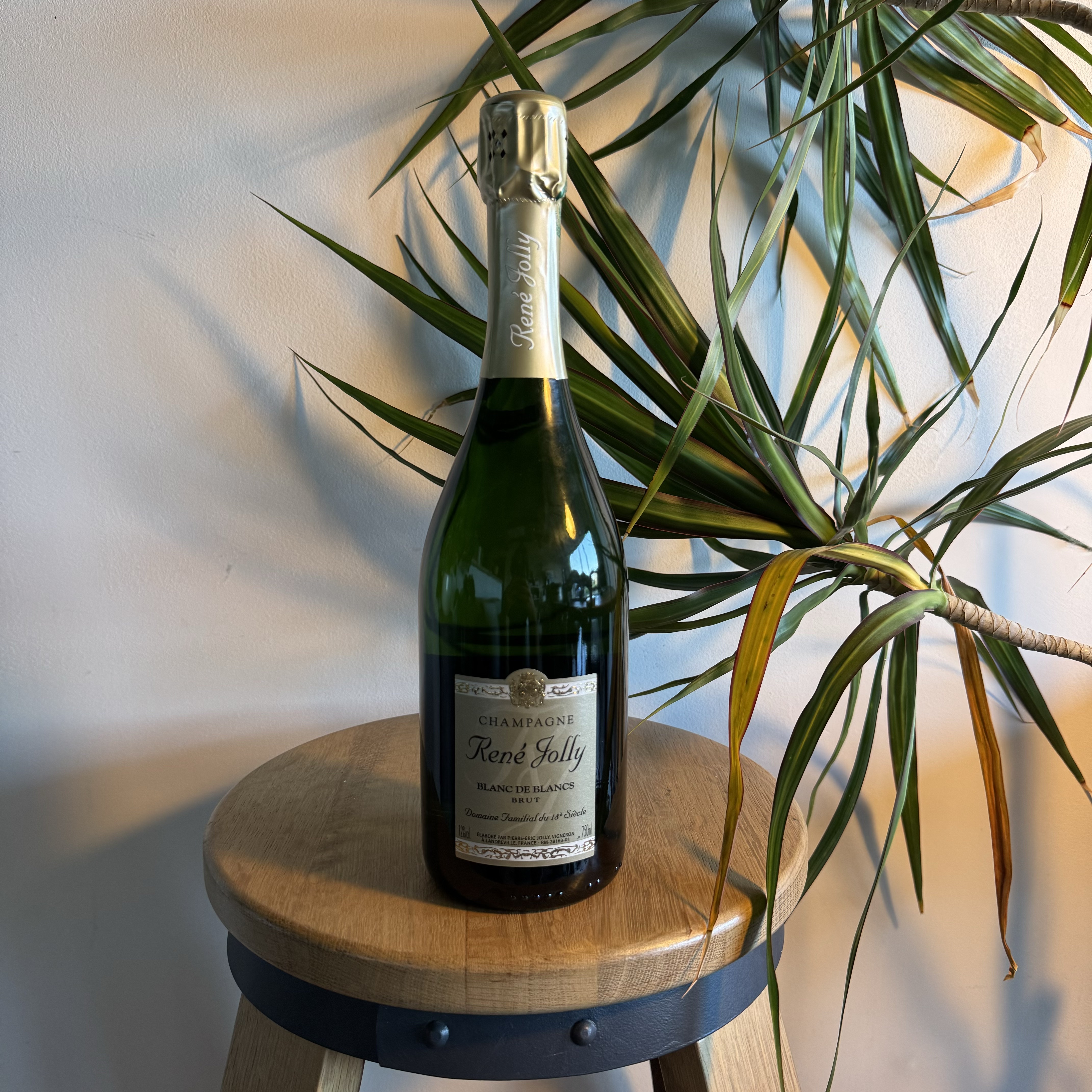 Champagne Blanc de Blancs - Domaine René Jolly