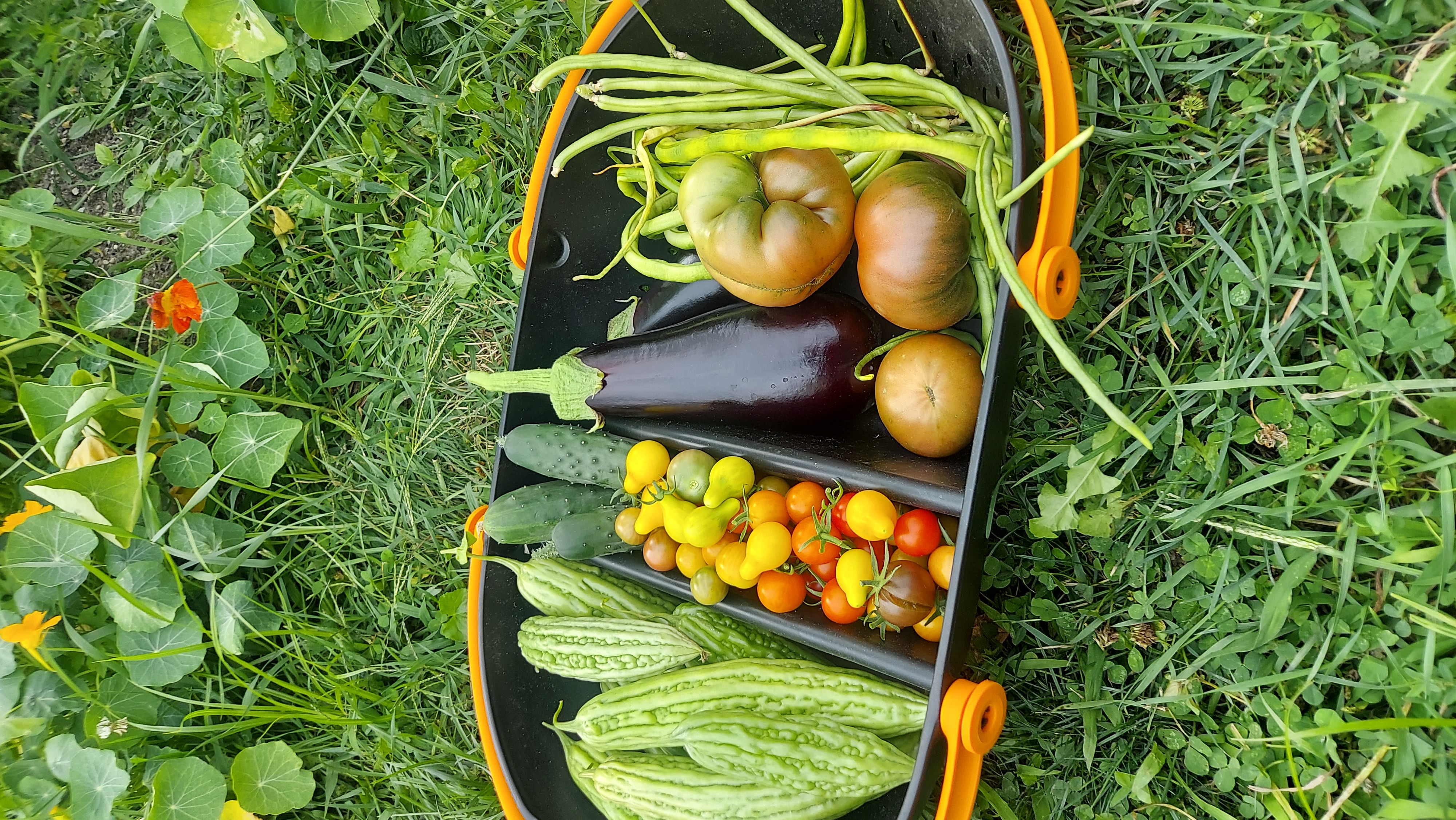 FREE 15-minute Discovery call