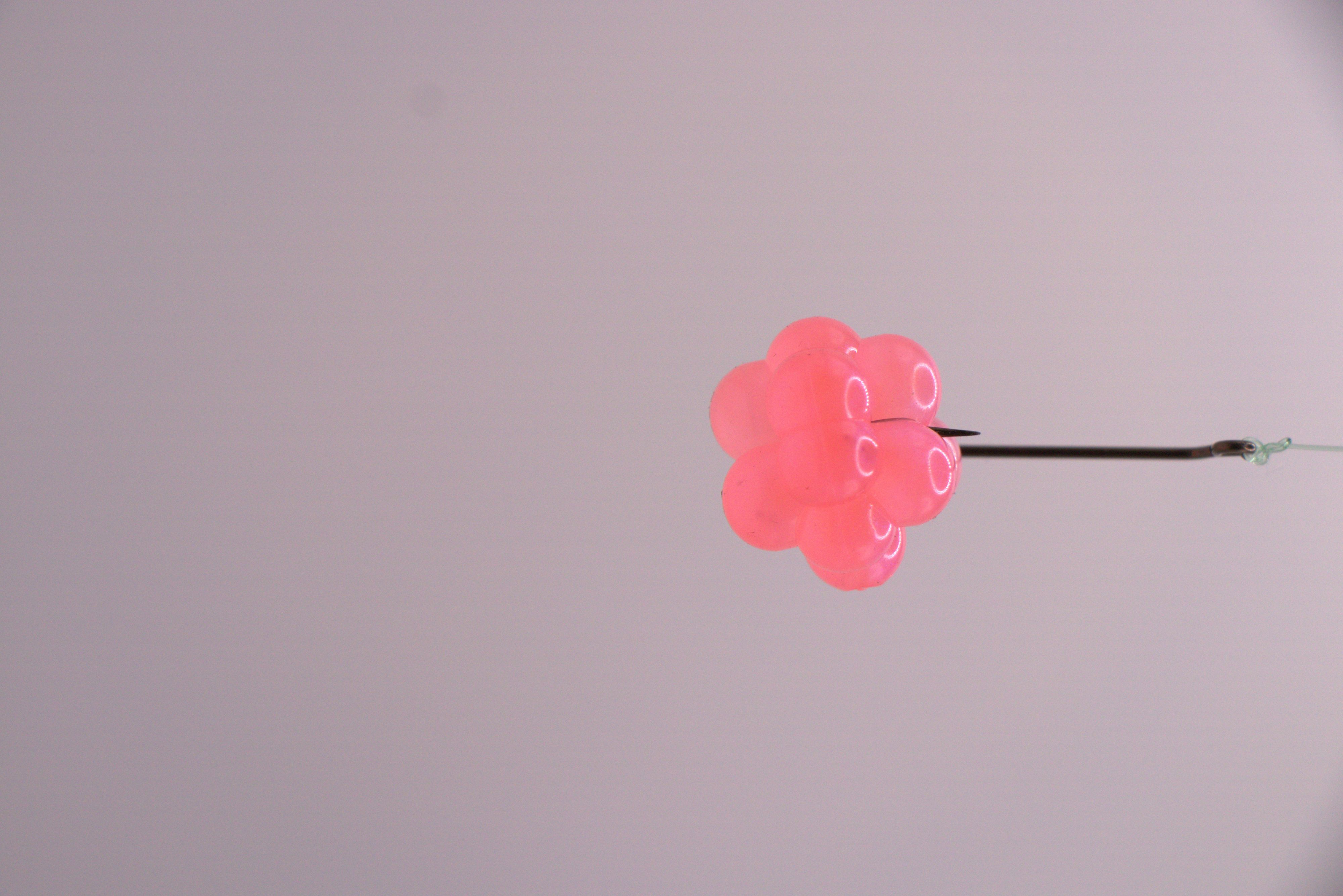 Salmon Roe Clusters 1/2 inch or 3/4 - Fishing Bait