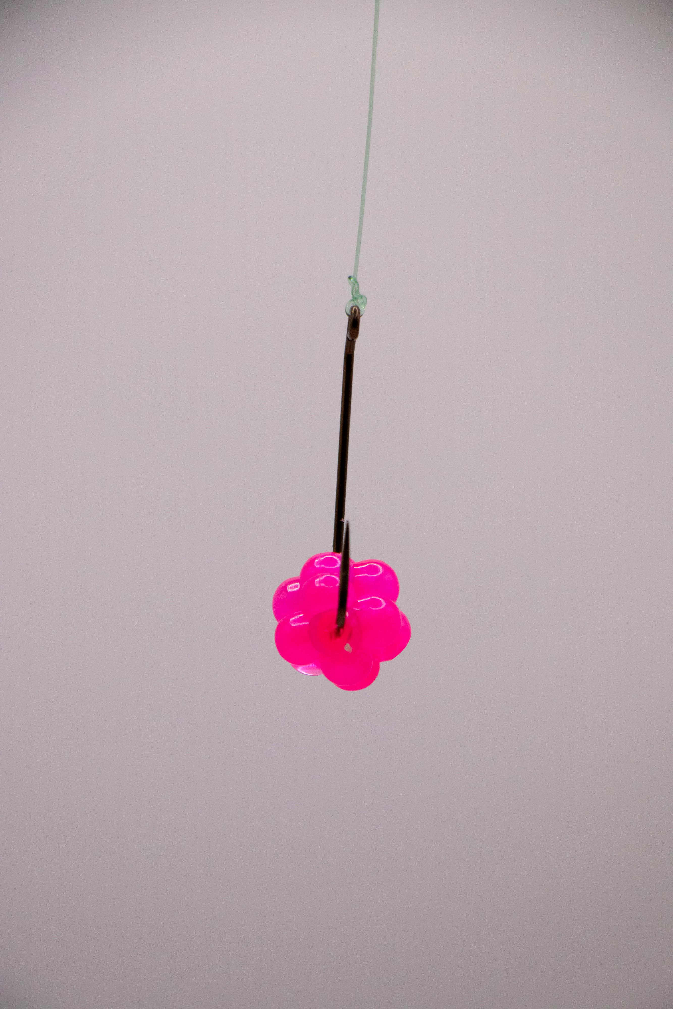 Salmon Roe Clusters 1/2 inch or 3/4 - Fishing Bait