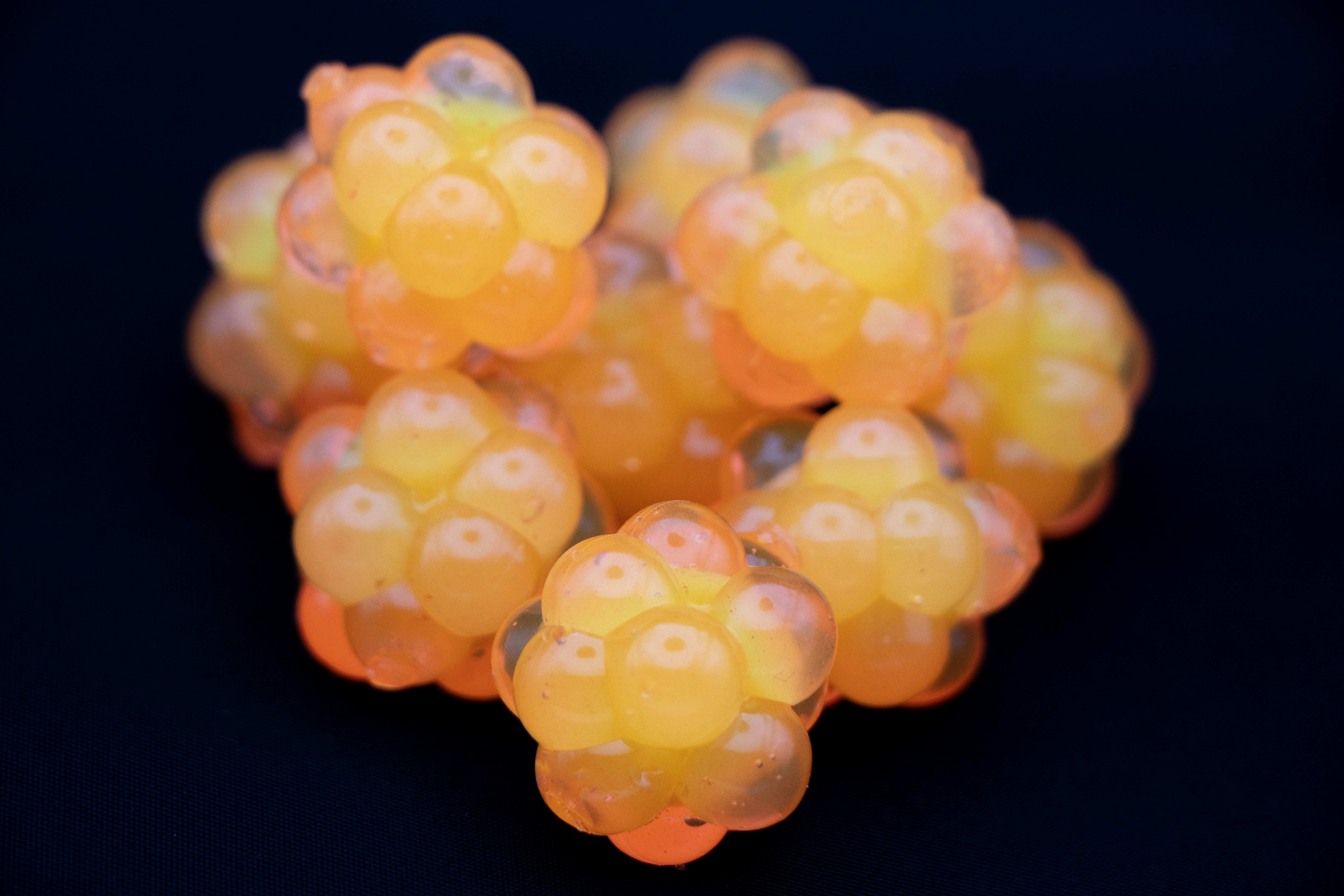 Salmon Roe Clusters - Fishing Bait