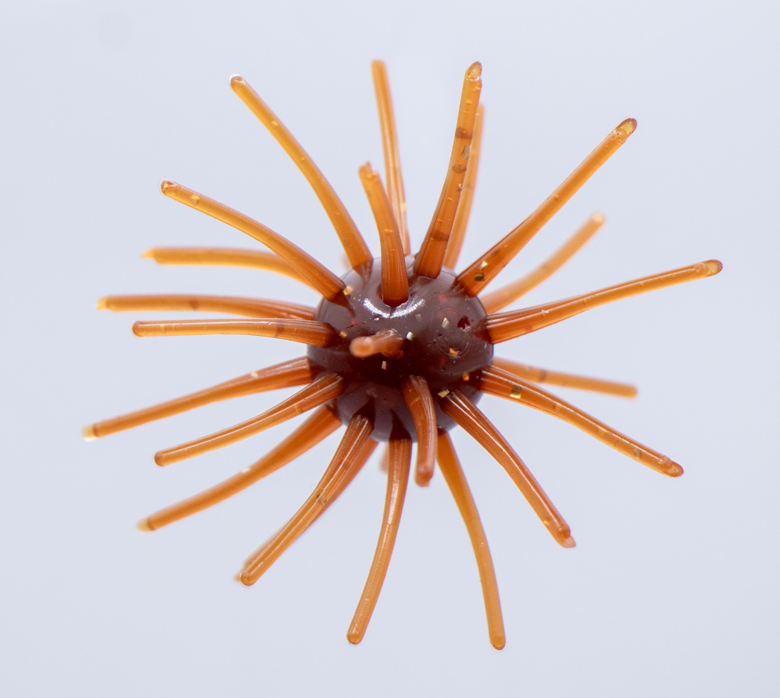 The Sea Urchin - Bass Lure