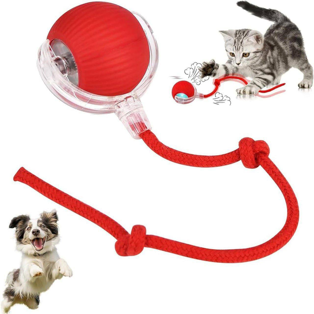Interactive Pet Ball Toy with Rope