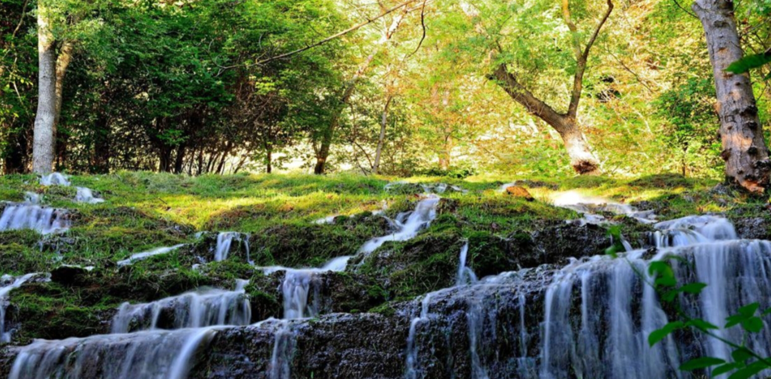 Calatayud, Monasterio Piedra